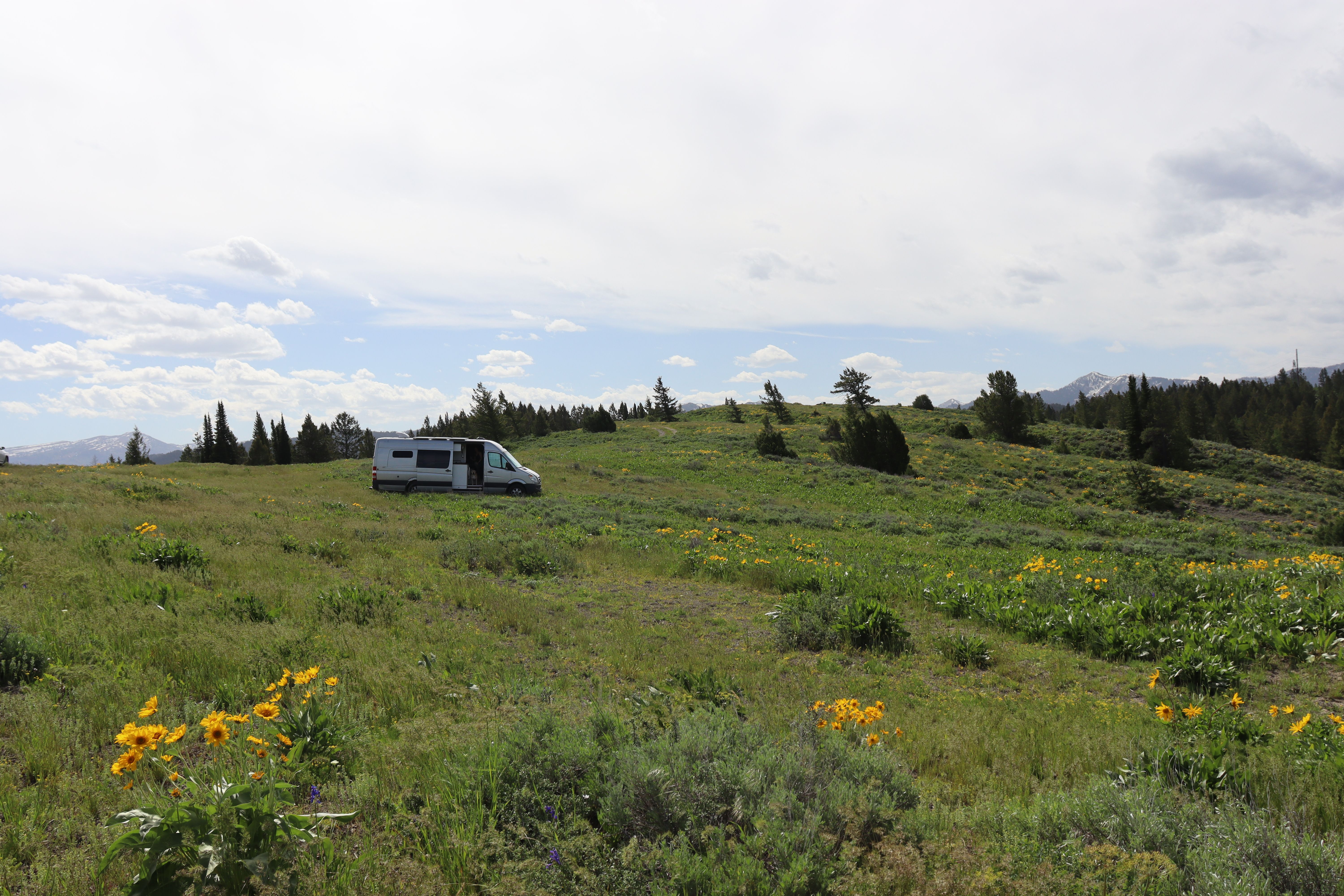 Dat Nguyen Photography