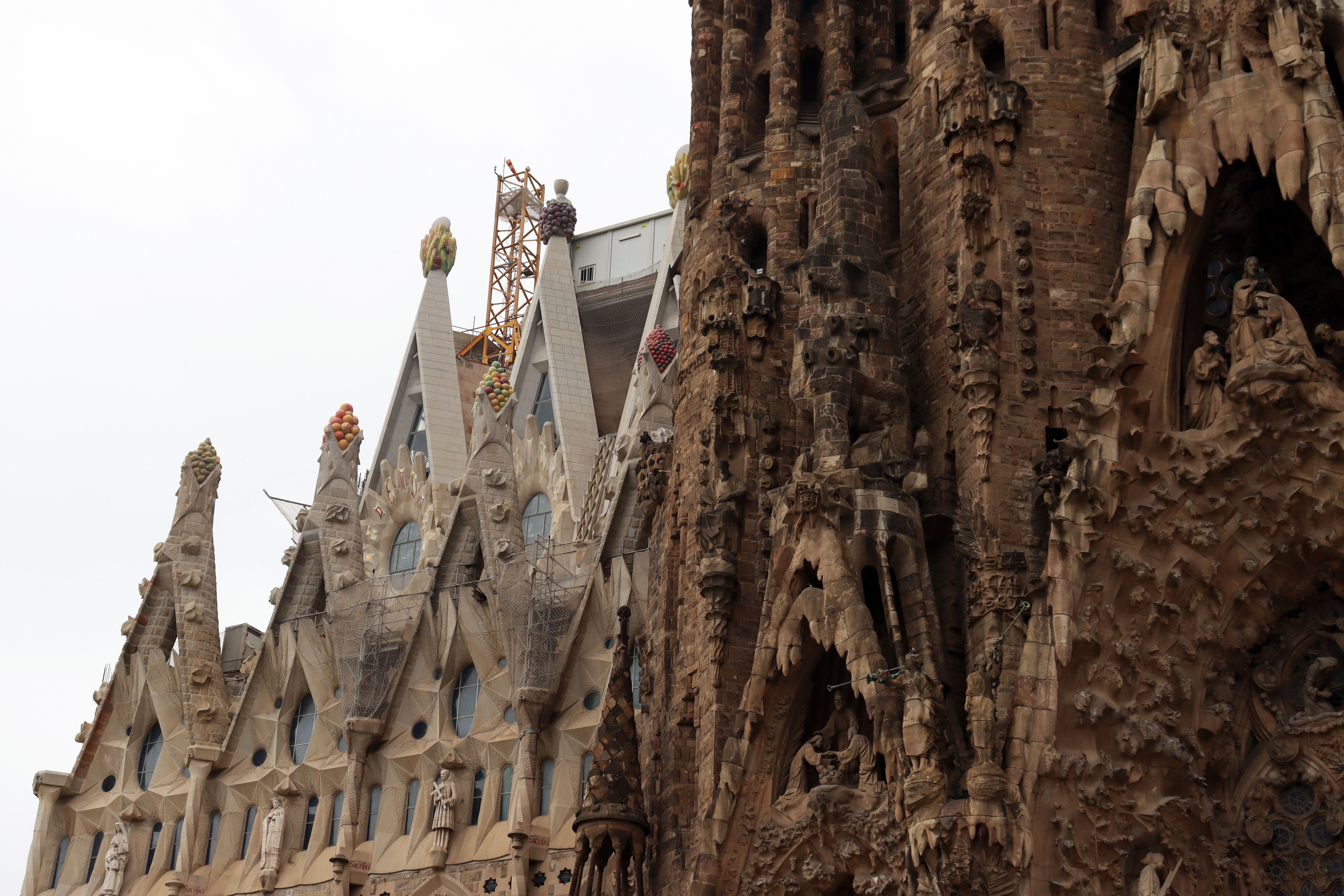 Dat Nguyen Photography