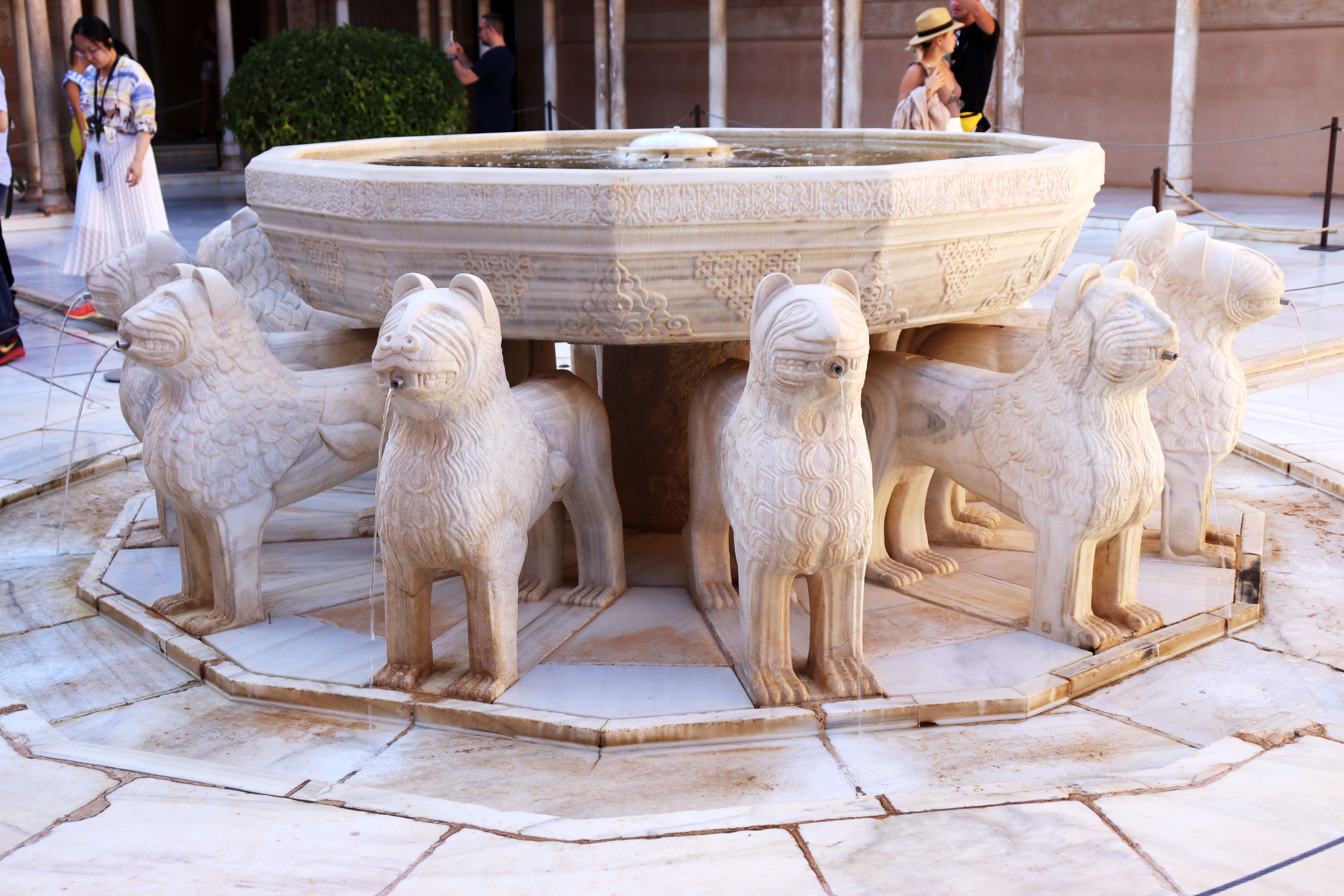 Dat Nguyen Photography