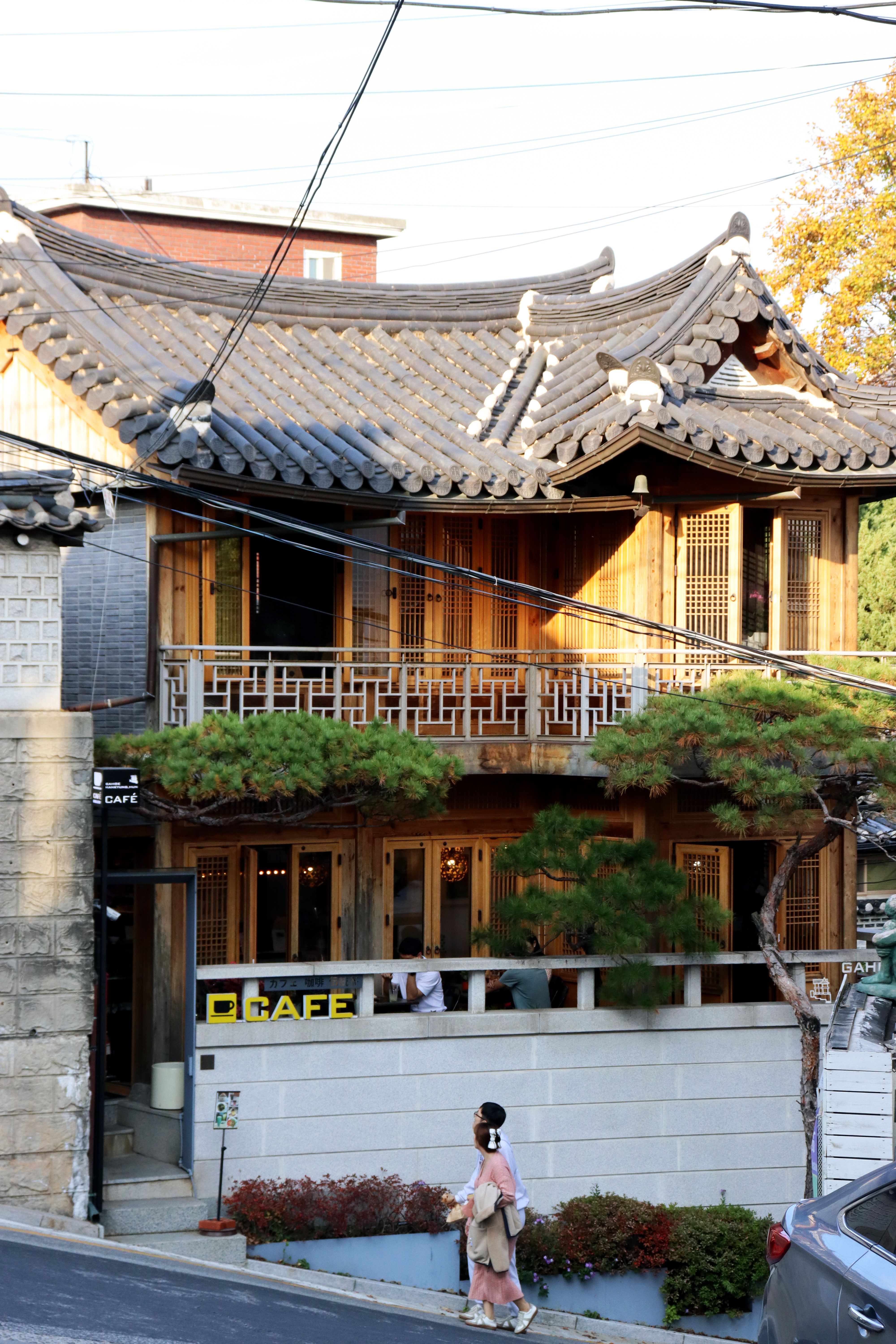 Dat Nguyen Photography