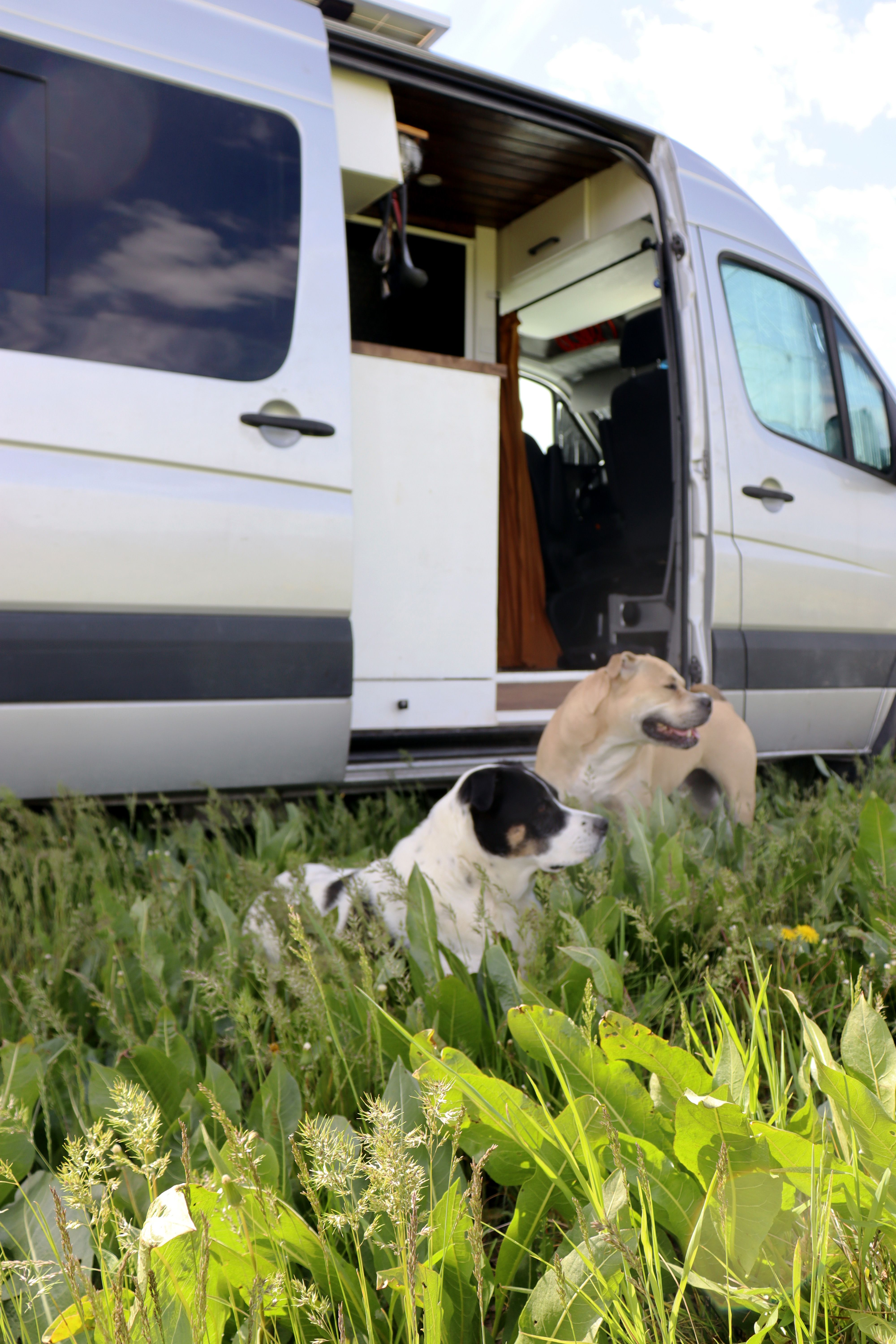 Dat Nguyen Photography