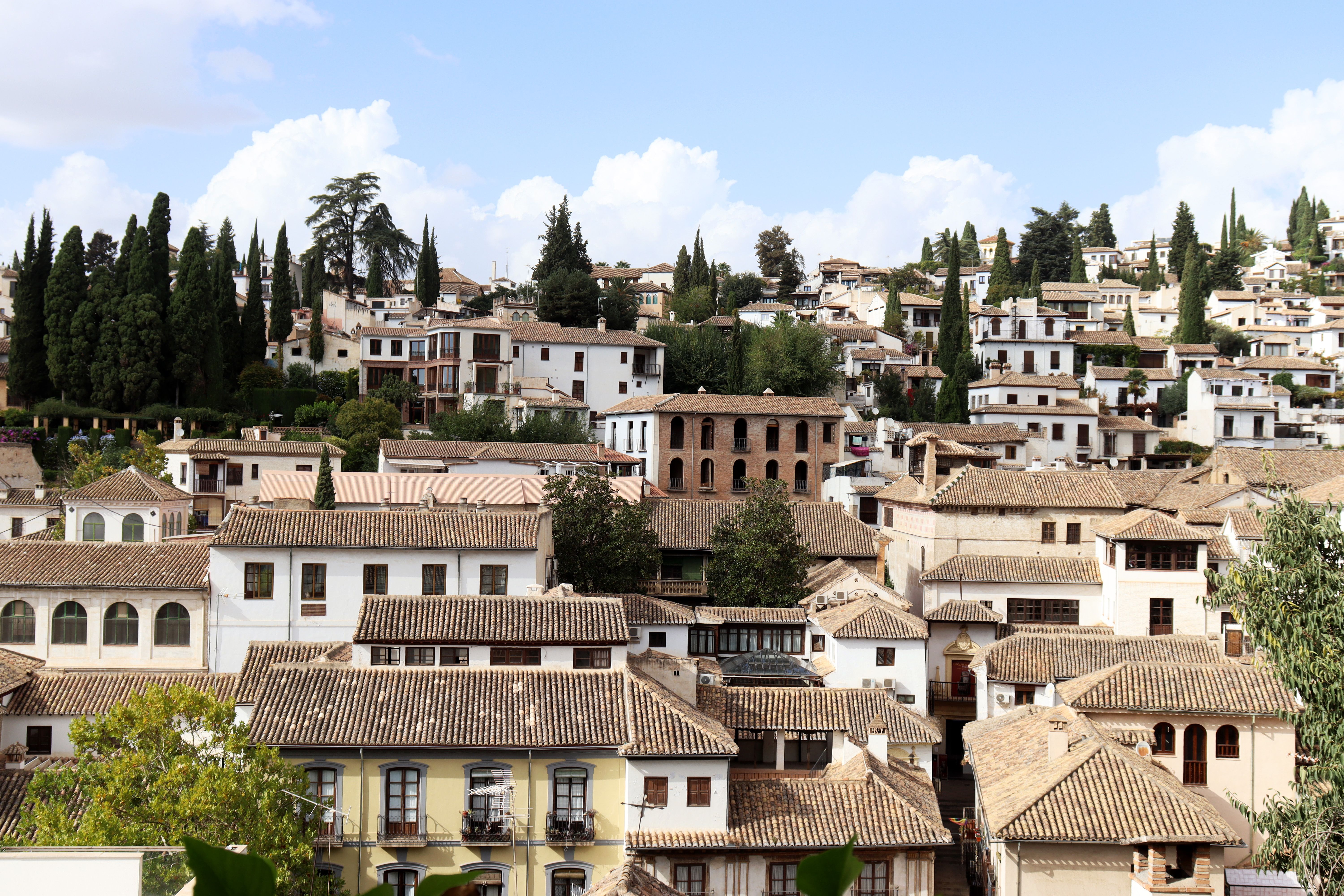 Dat Nguyen Photography