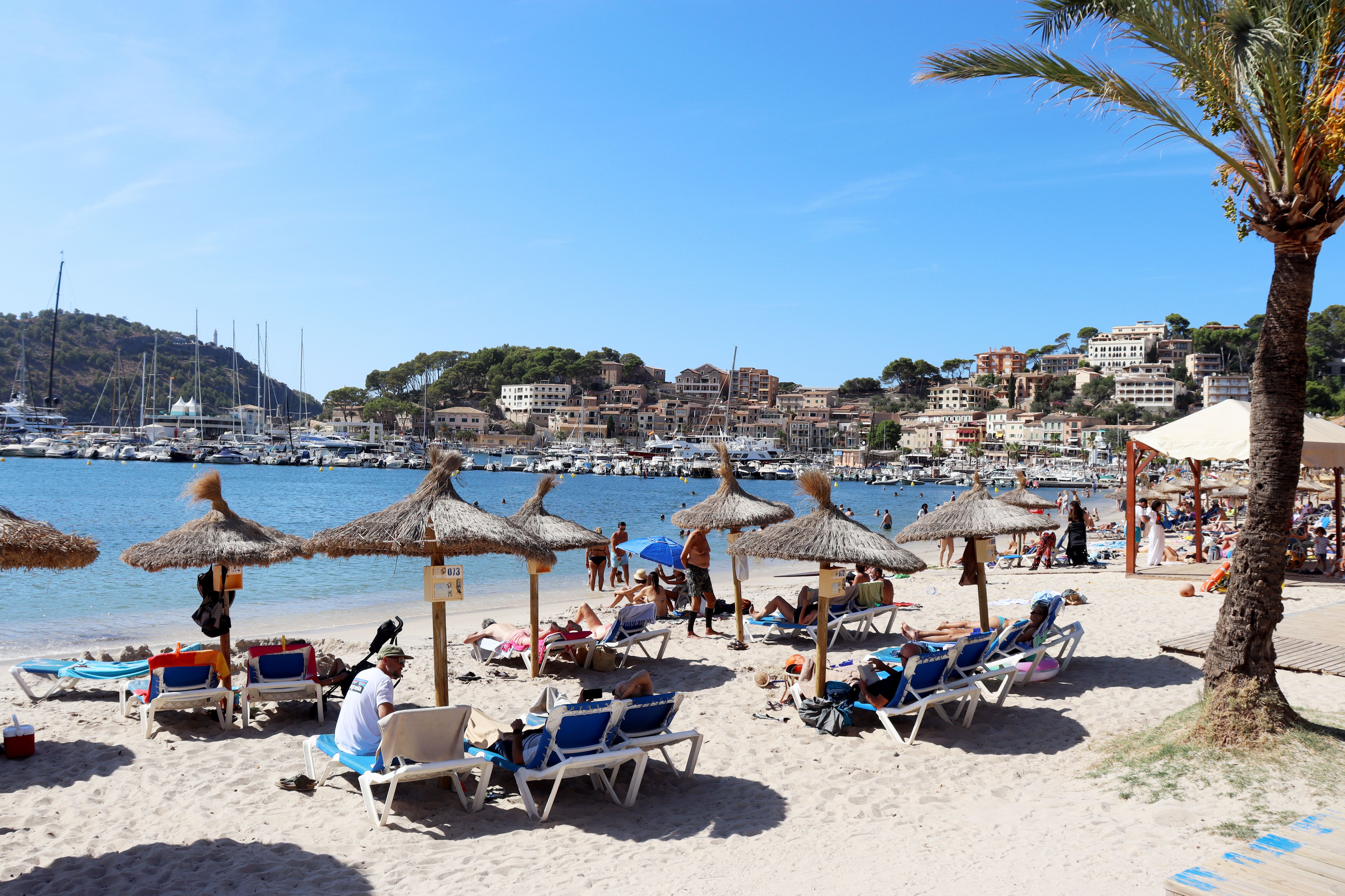 Dat Nguyen Photography