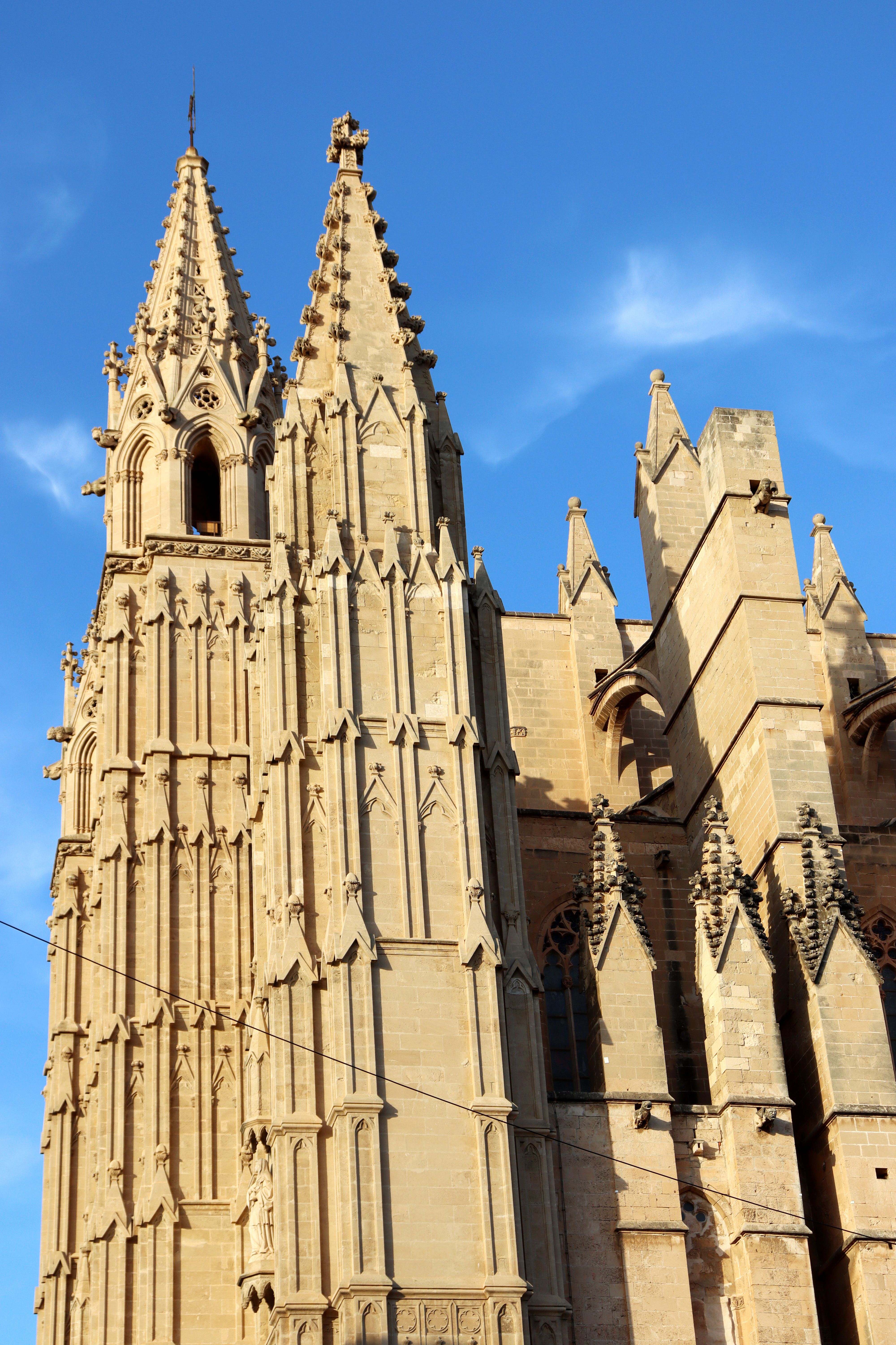 Dat Nguyen Photography