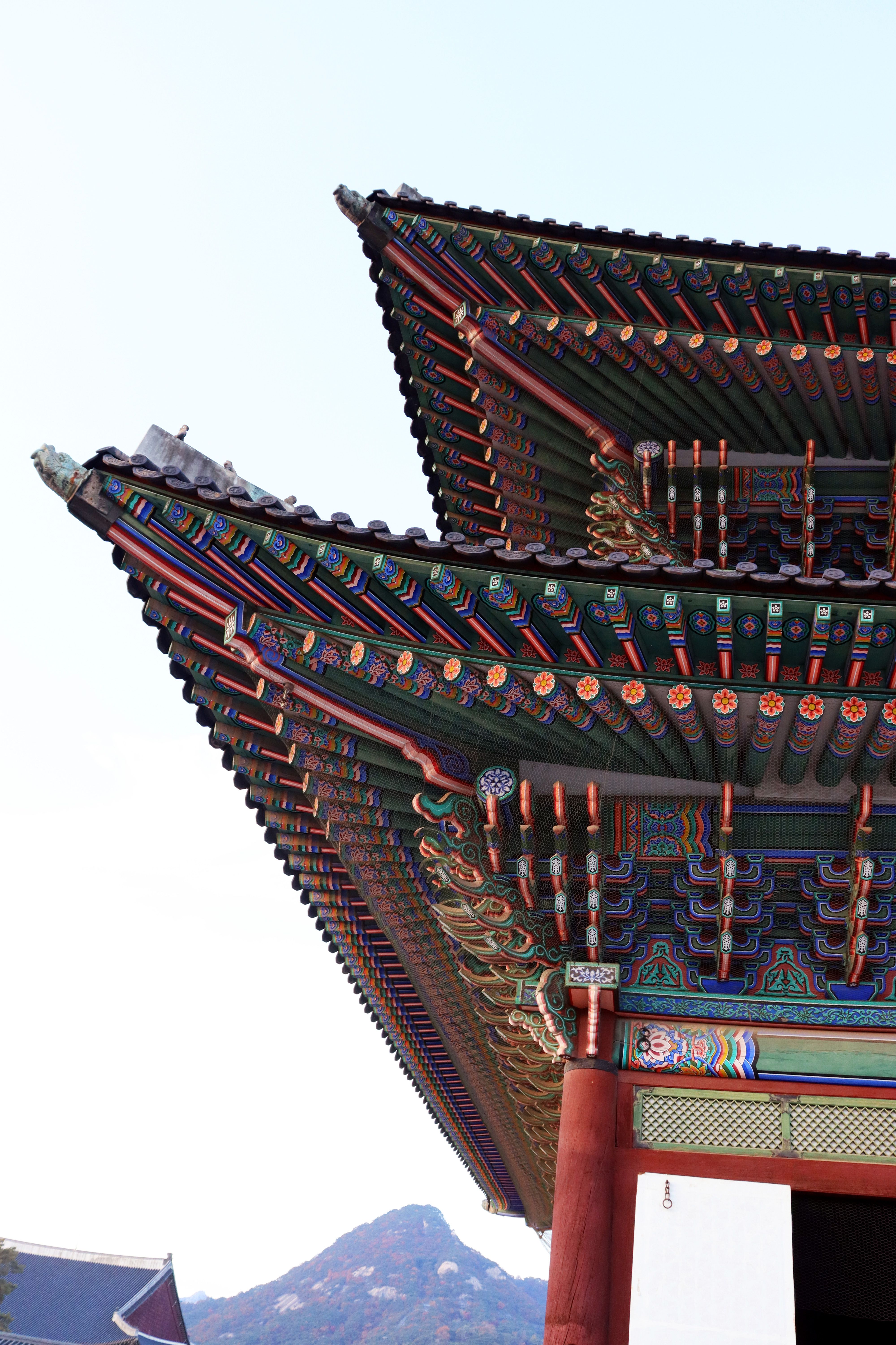 Dat Nguyen Photography