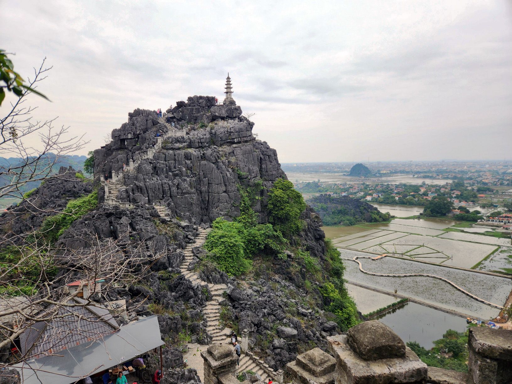 Dat Nguyen Photography