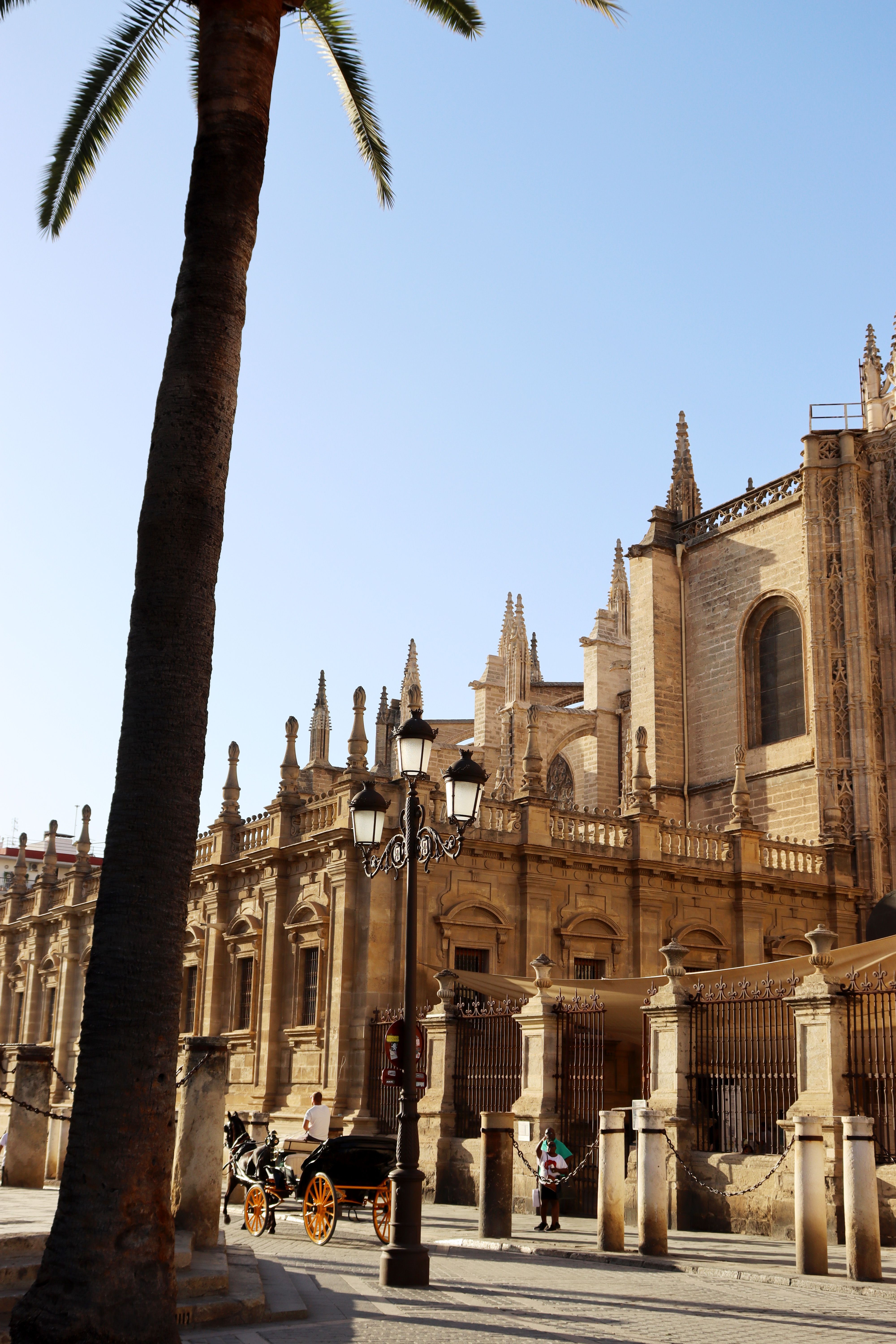 Dat Nguyen Photography