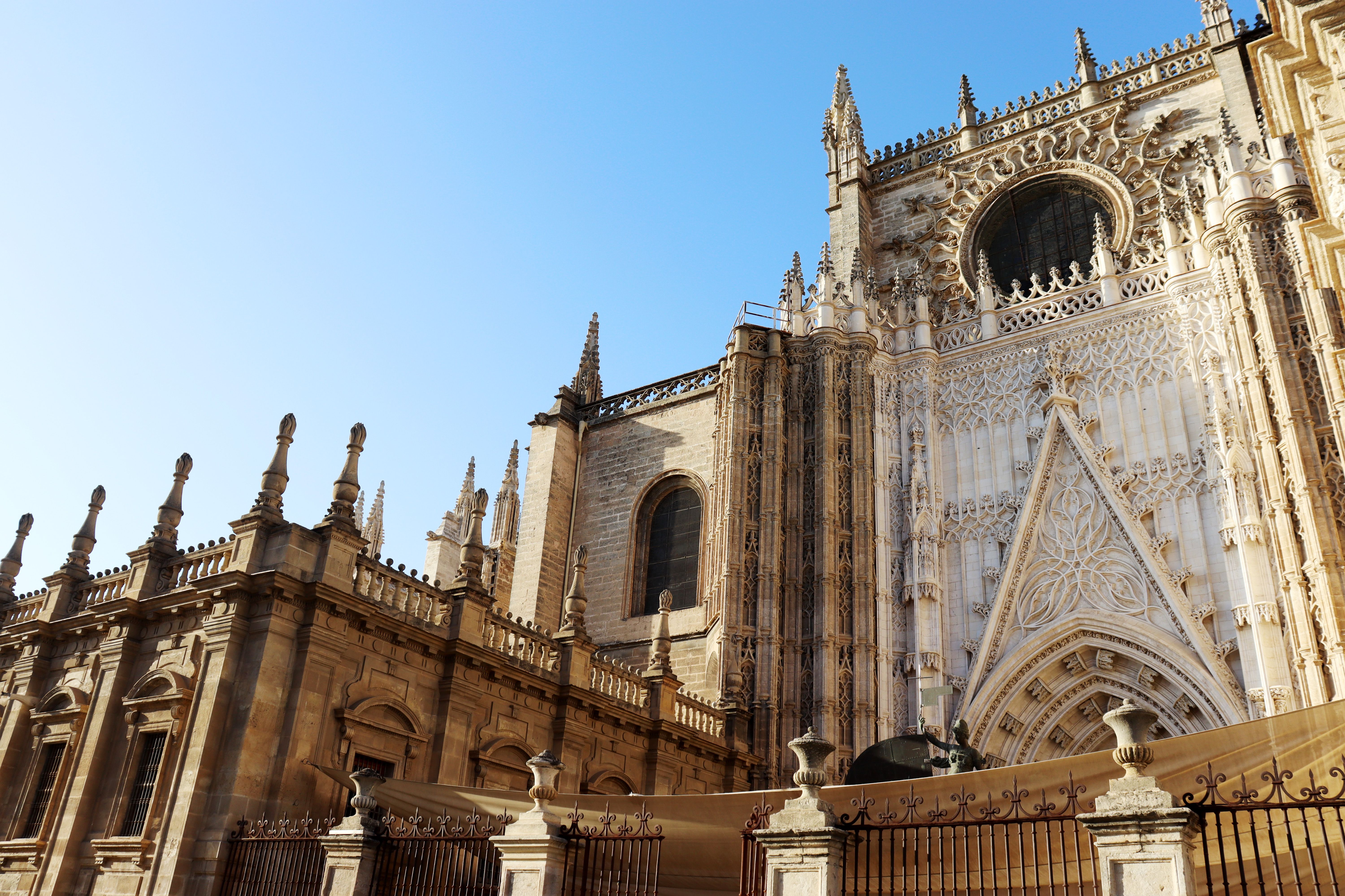 Dat Nguyen Photography