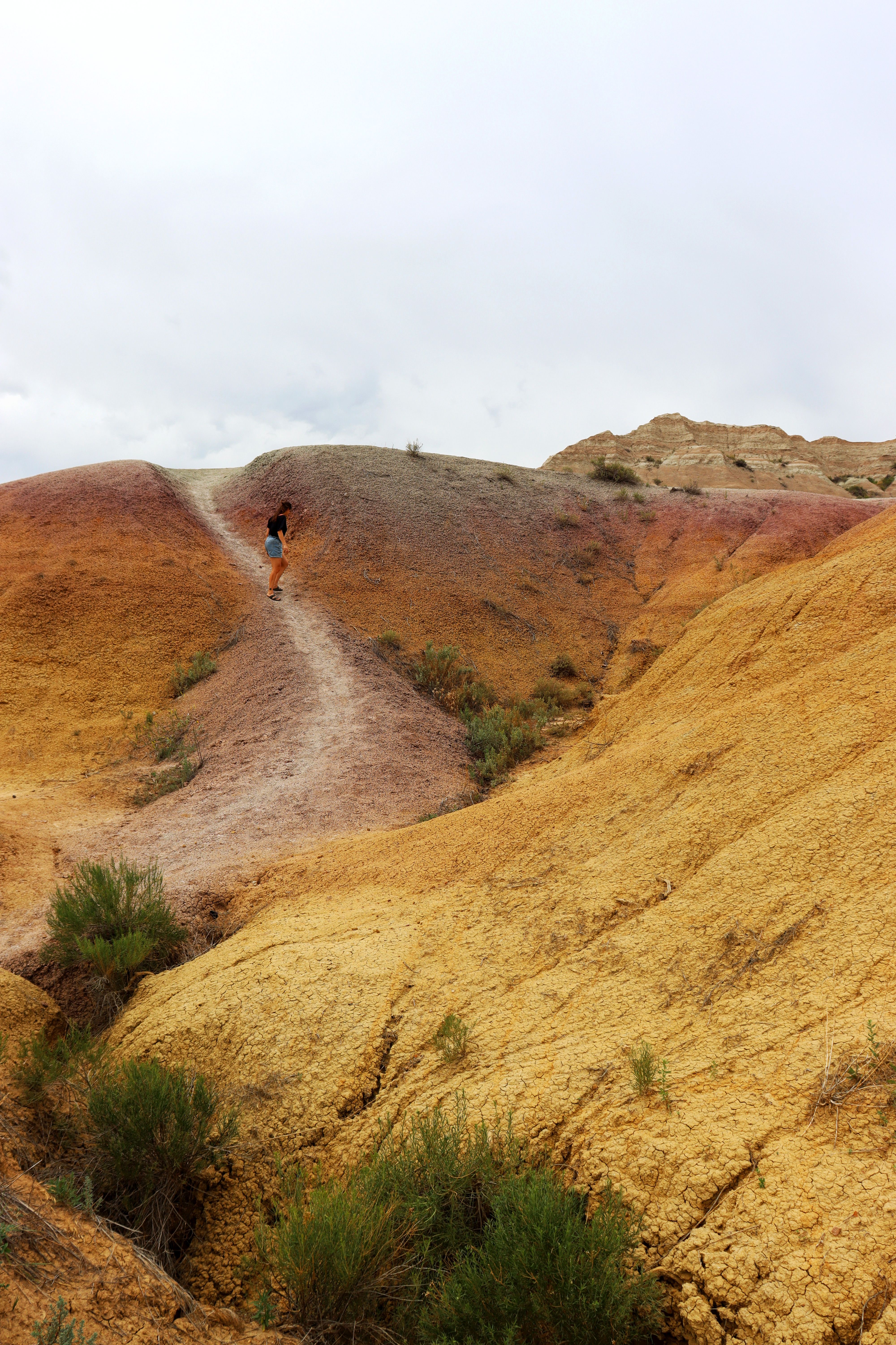 Dat Nguyen Photography