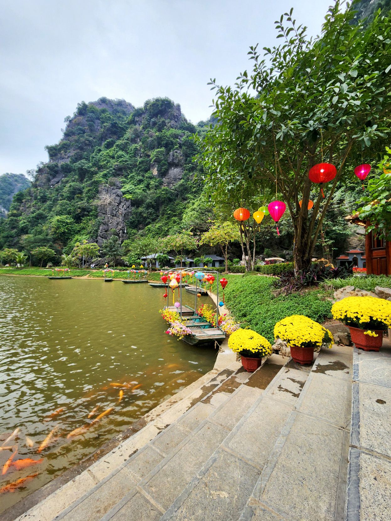 Dat Nguyen Photography