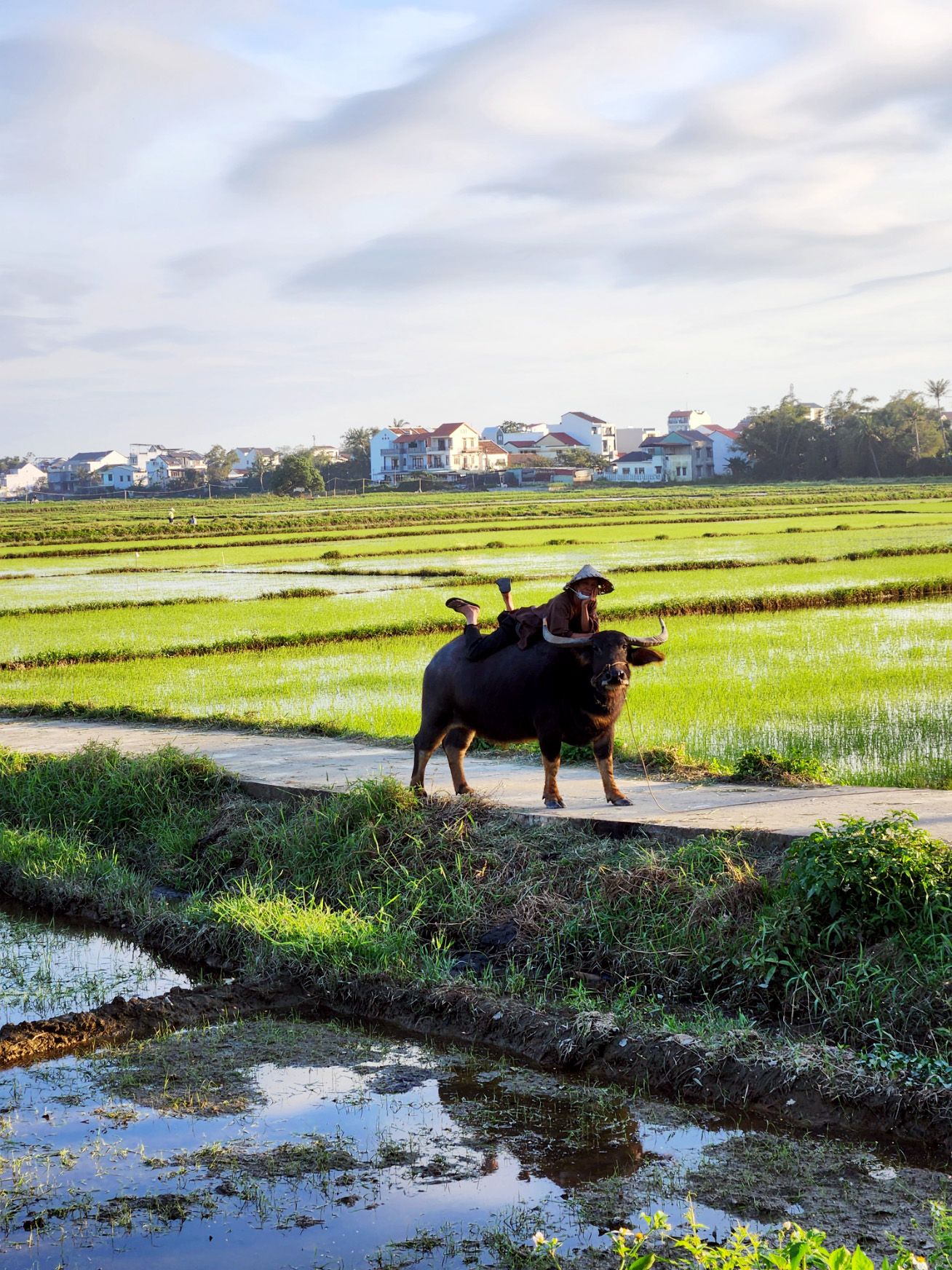 Dat Nguyen Photography