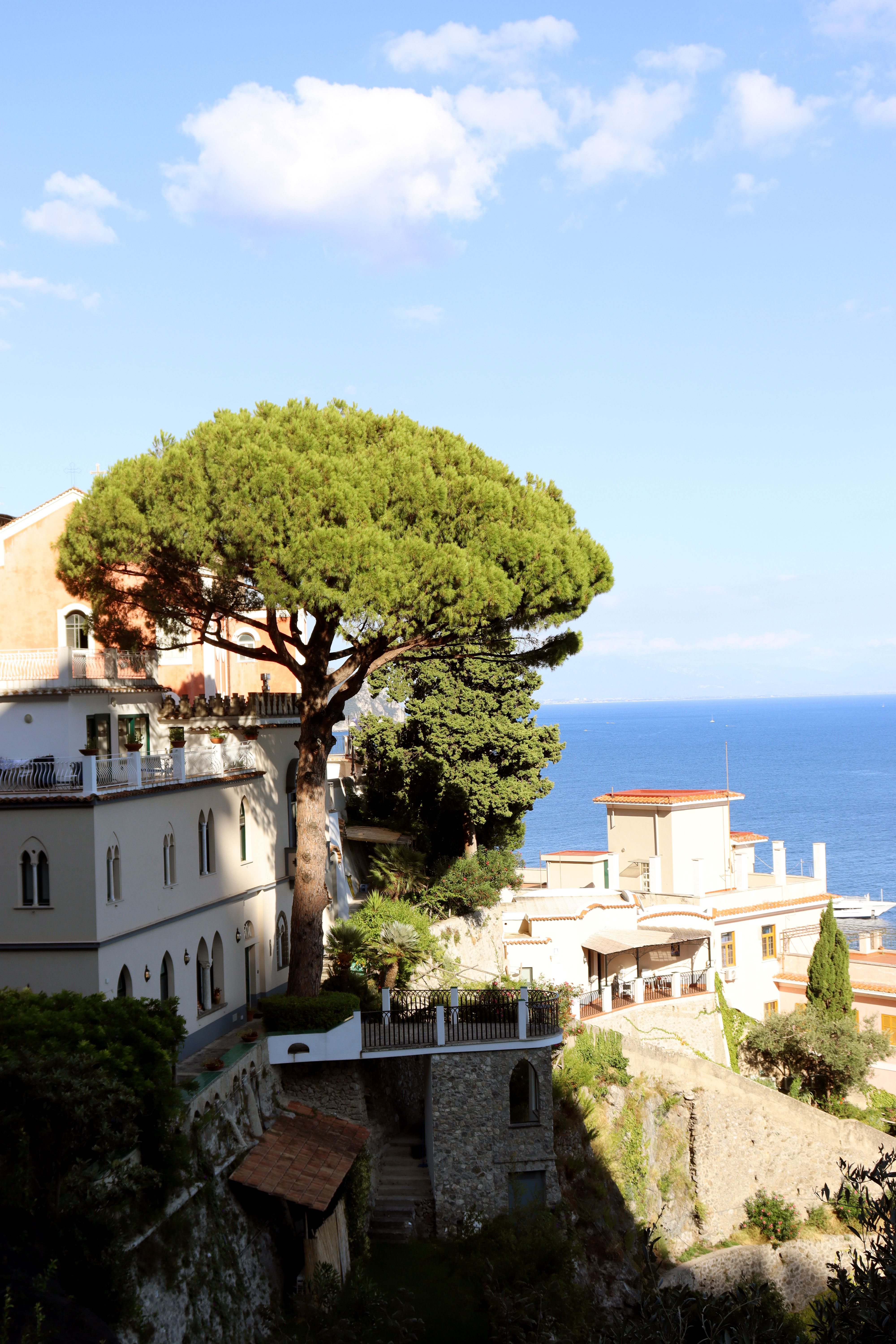 Dat Nguyen Photography