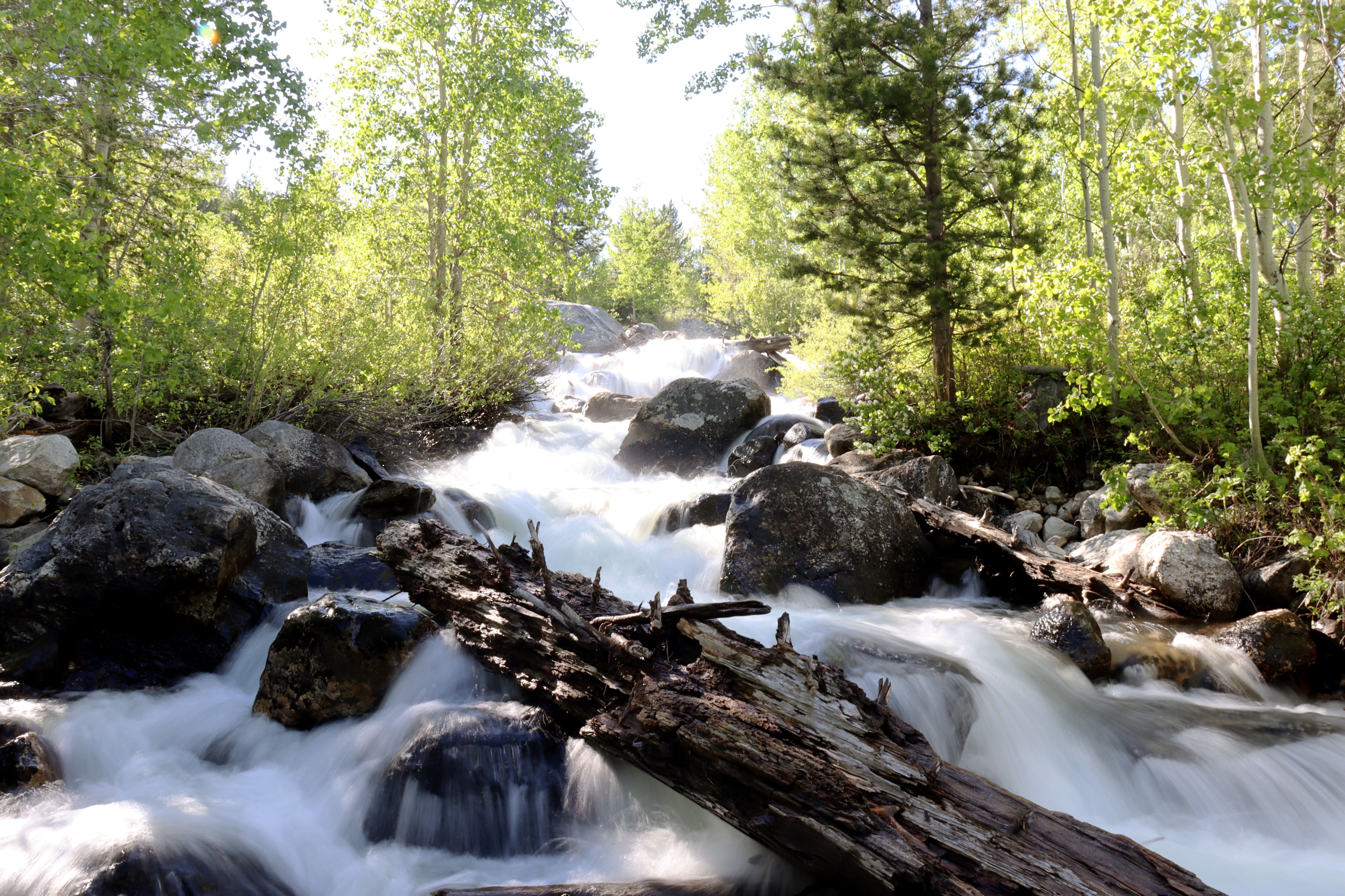 Dat Nguyen Photography