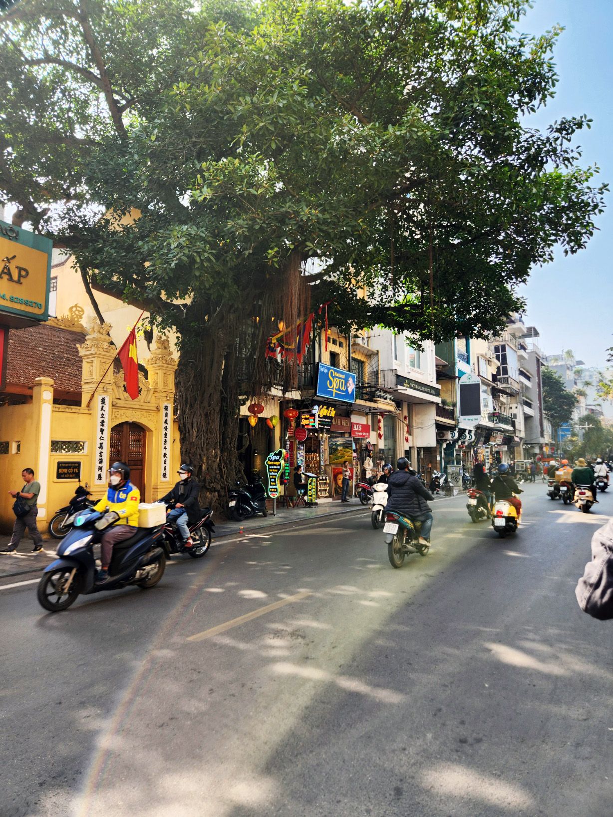 Dat Nguyen Photography