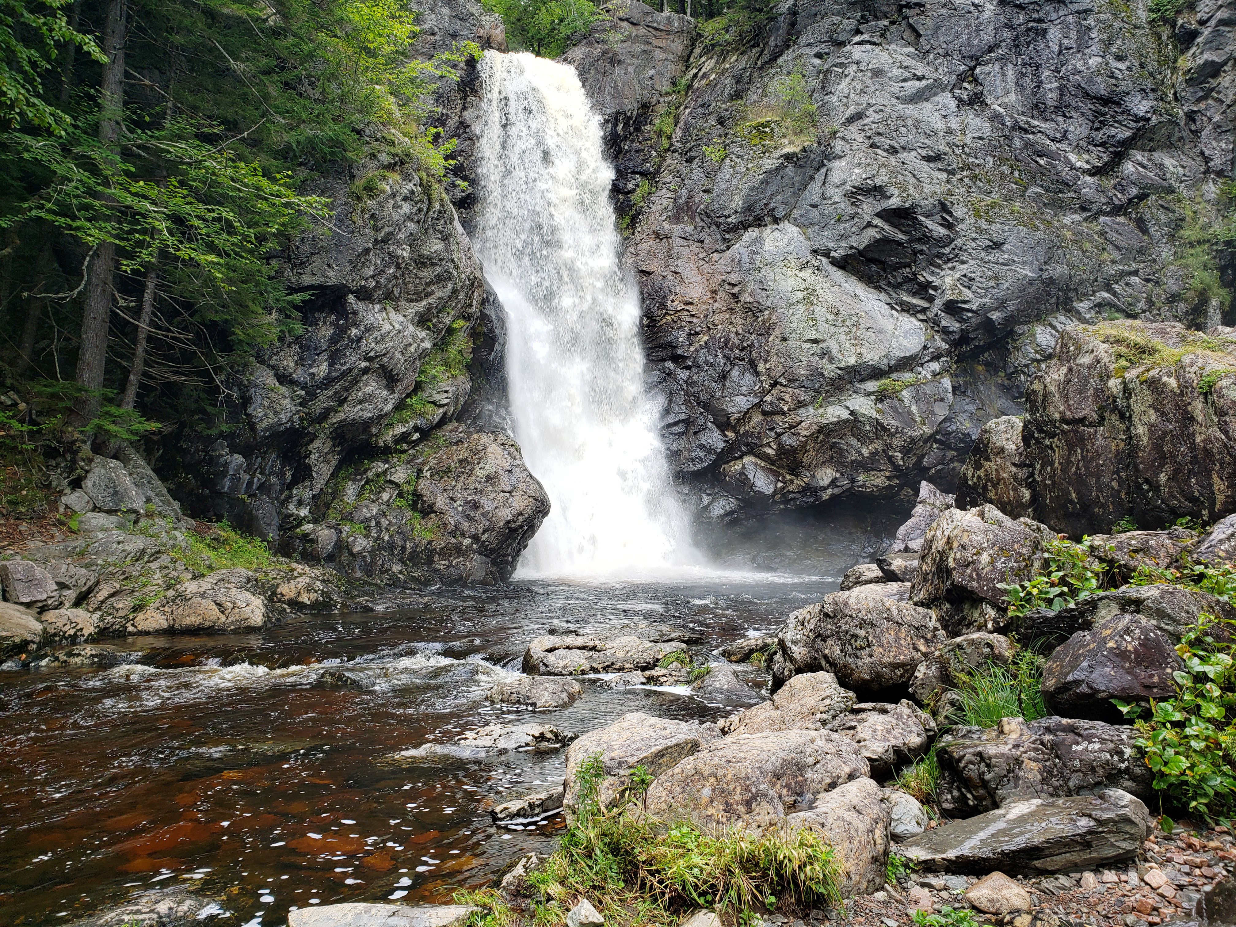 Dat Nguyen Photography