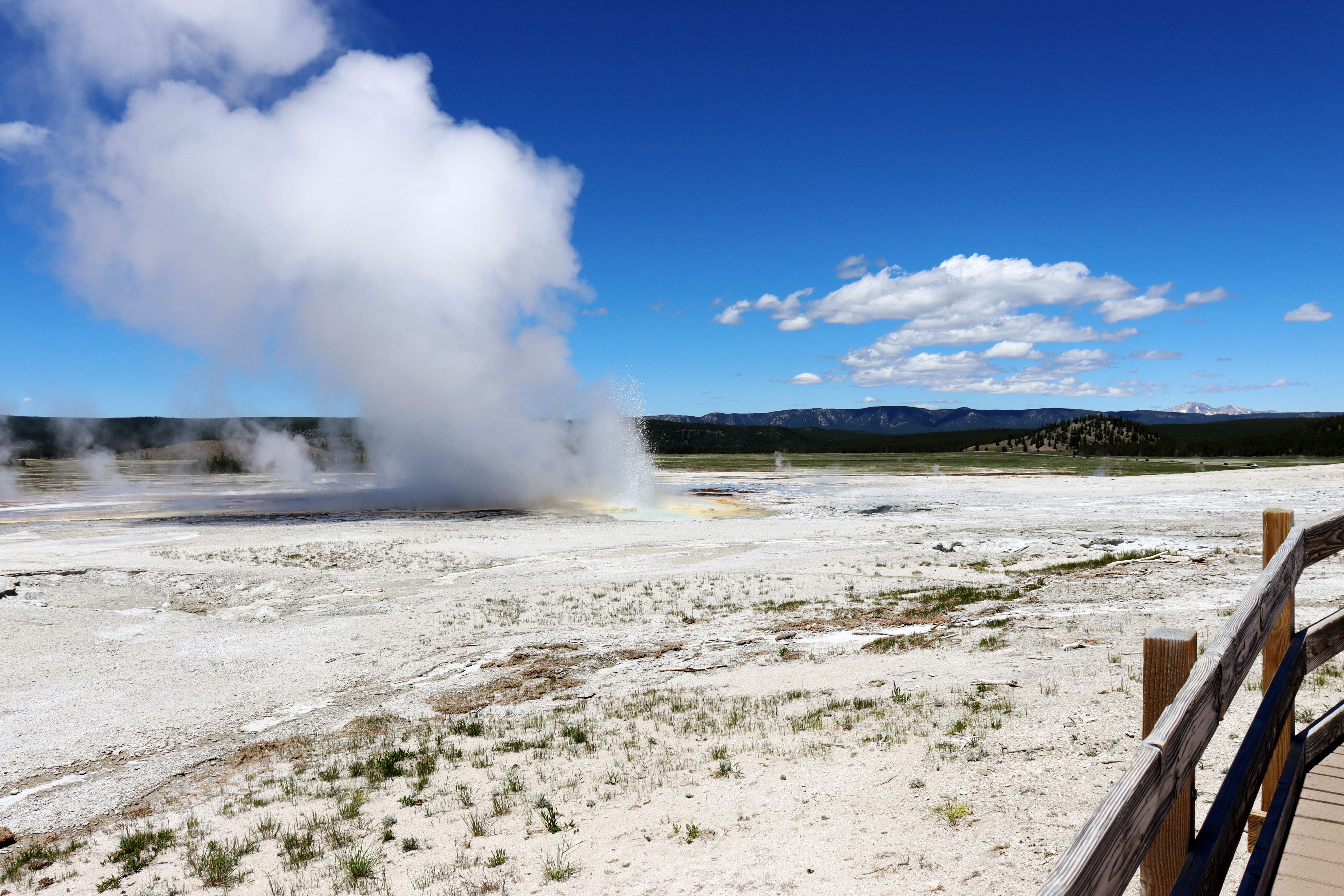 Dat Nguyen Photography