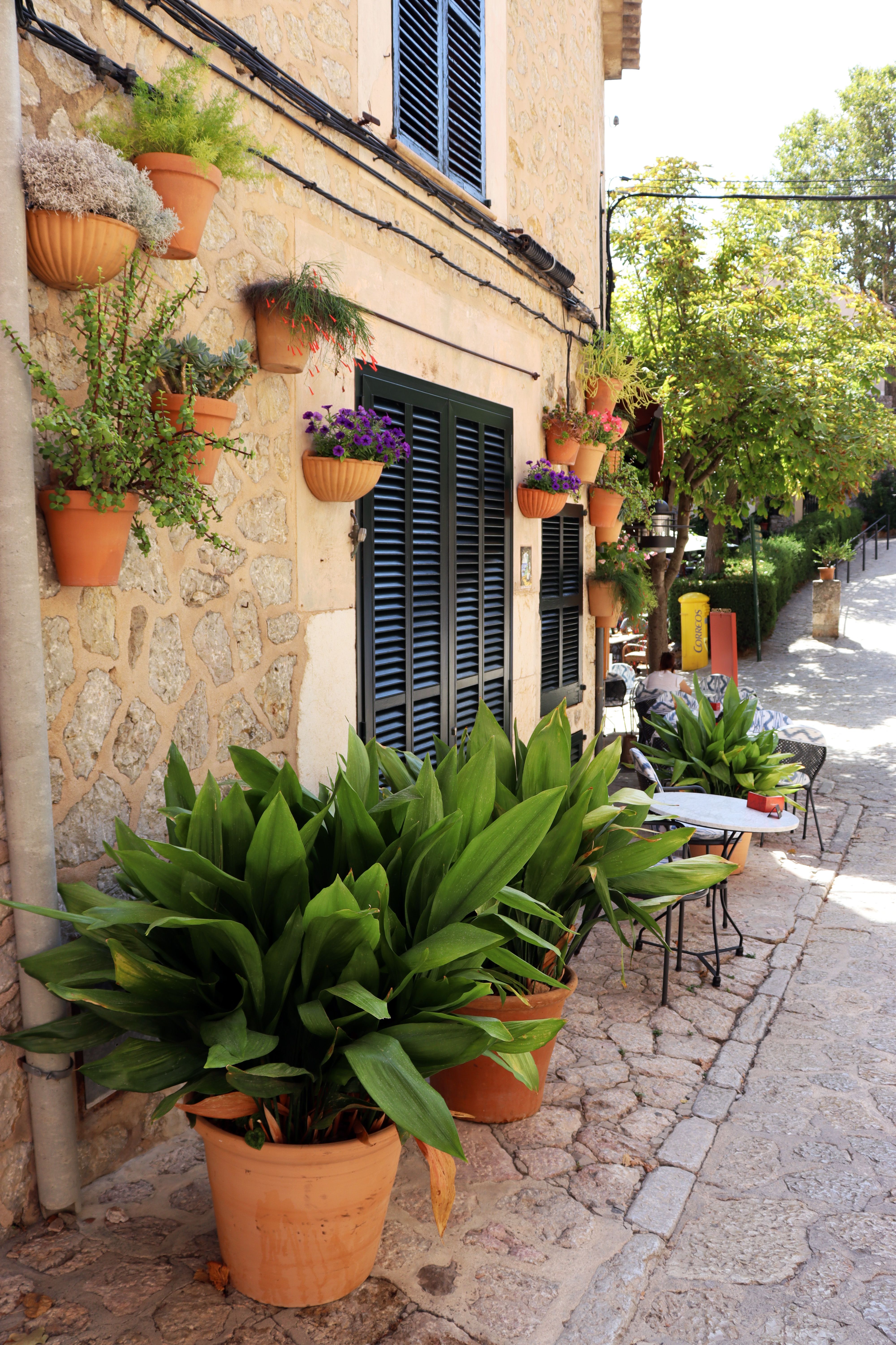 Dat Nguyen Photography