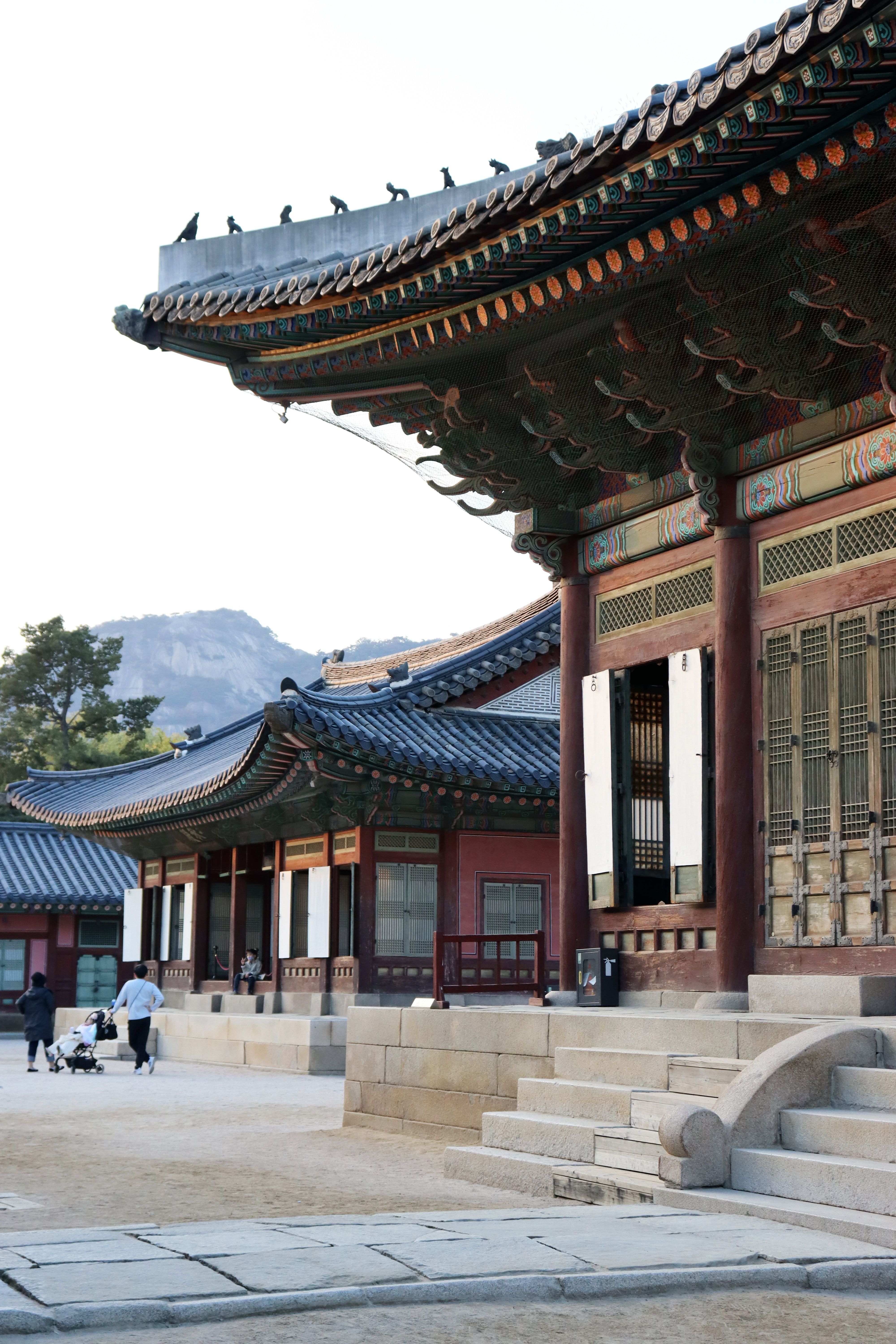 Dat Nguyen Photography