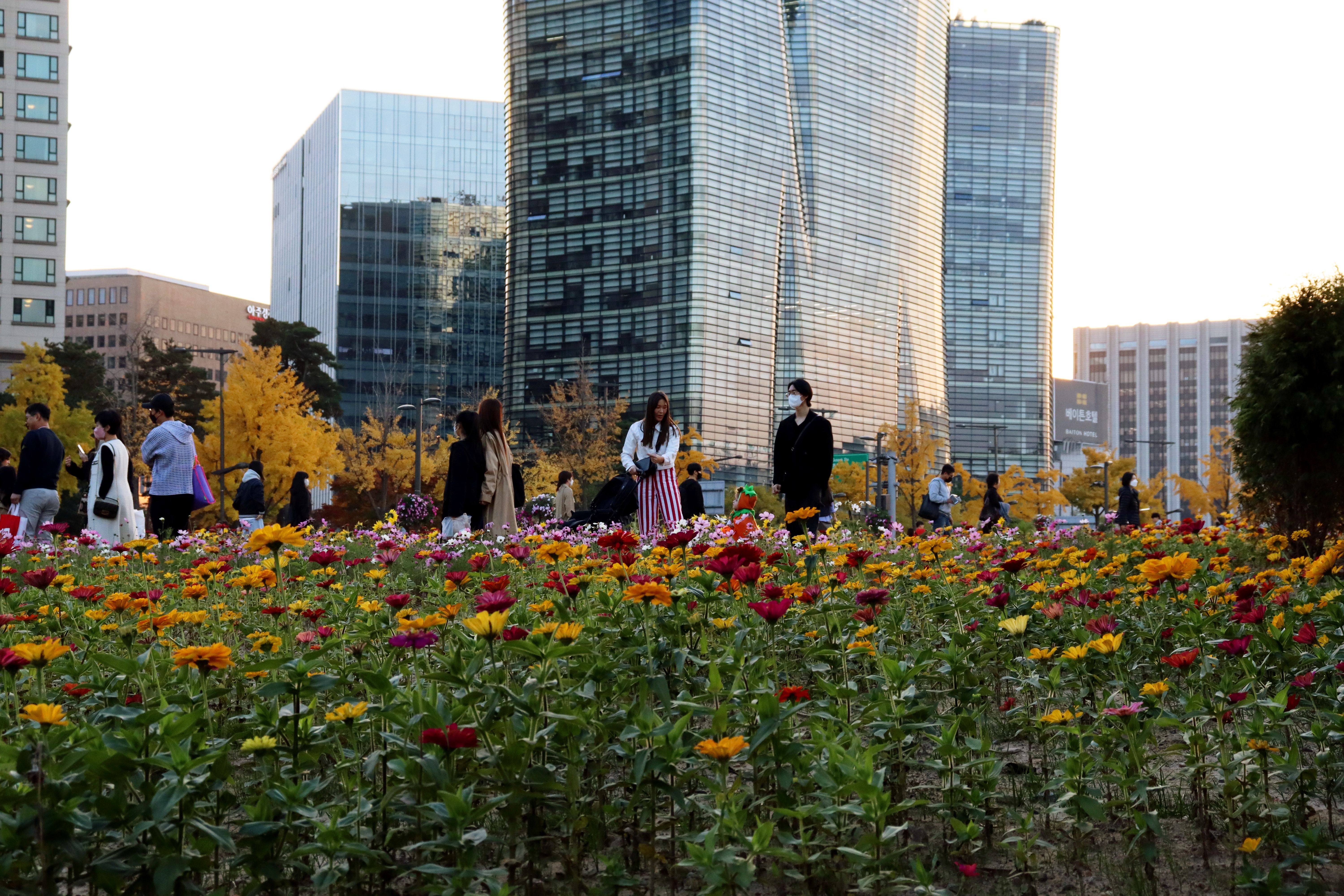 Dat Nguyen Photography