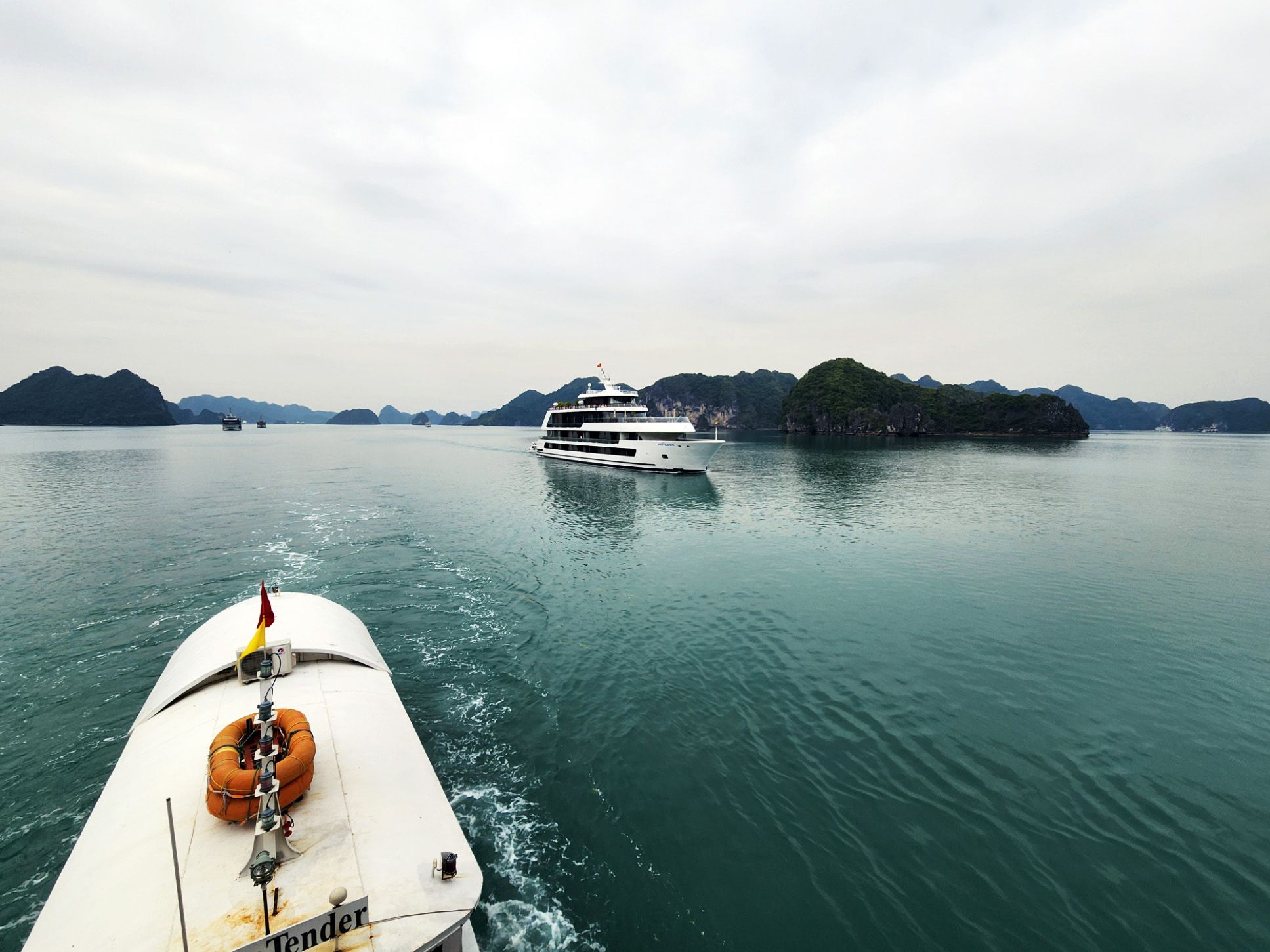 Dat Nguyen Photography