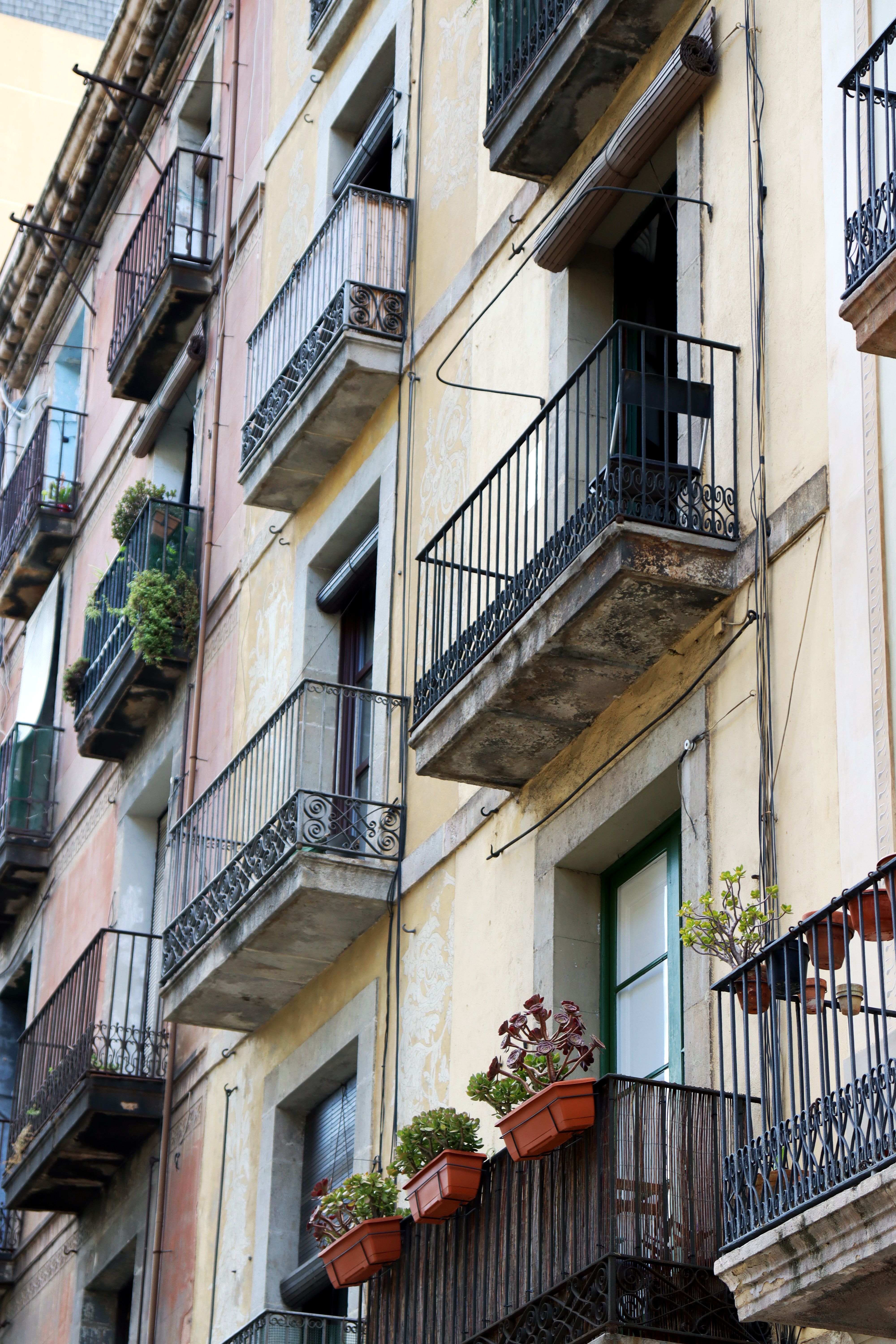 Dat Nguyen Photography