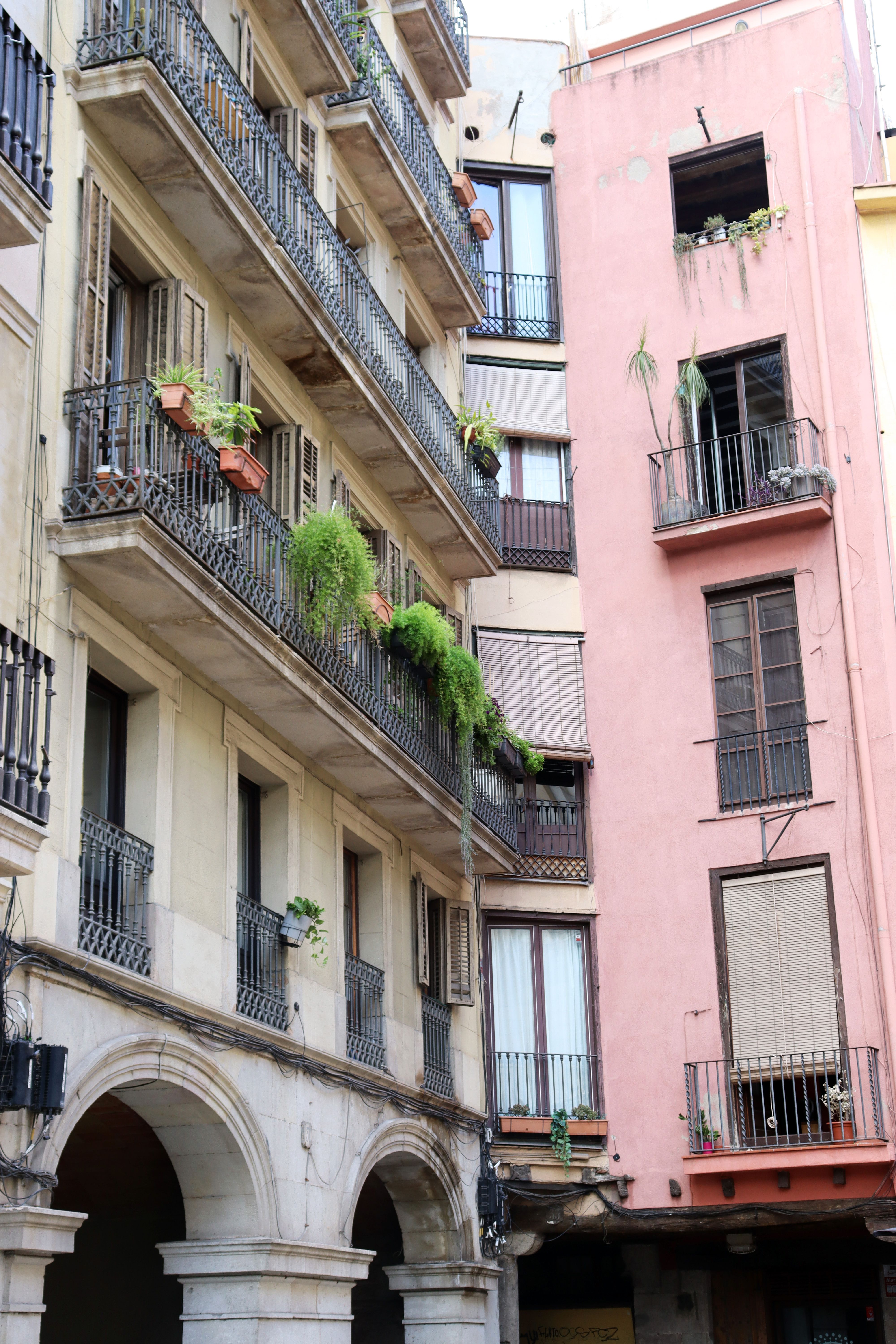 Dat Nguyen Photography