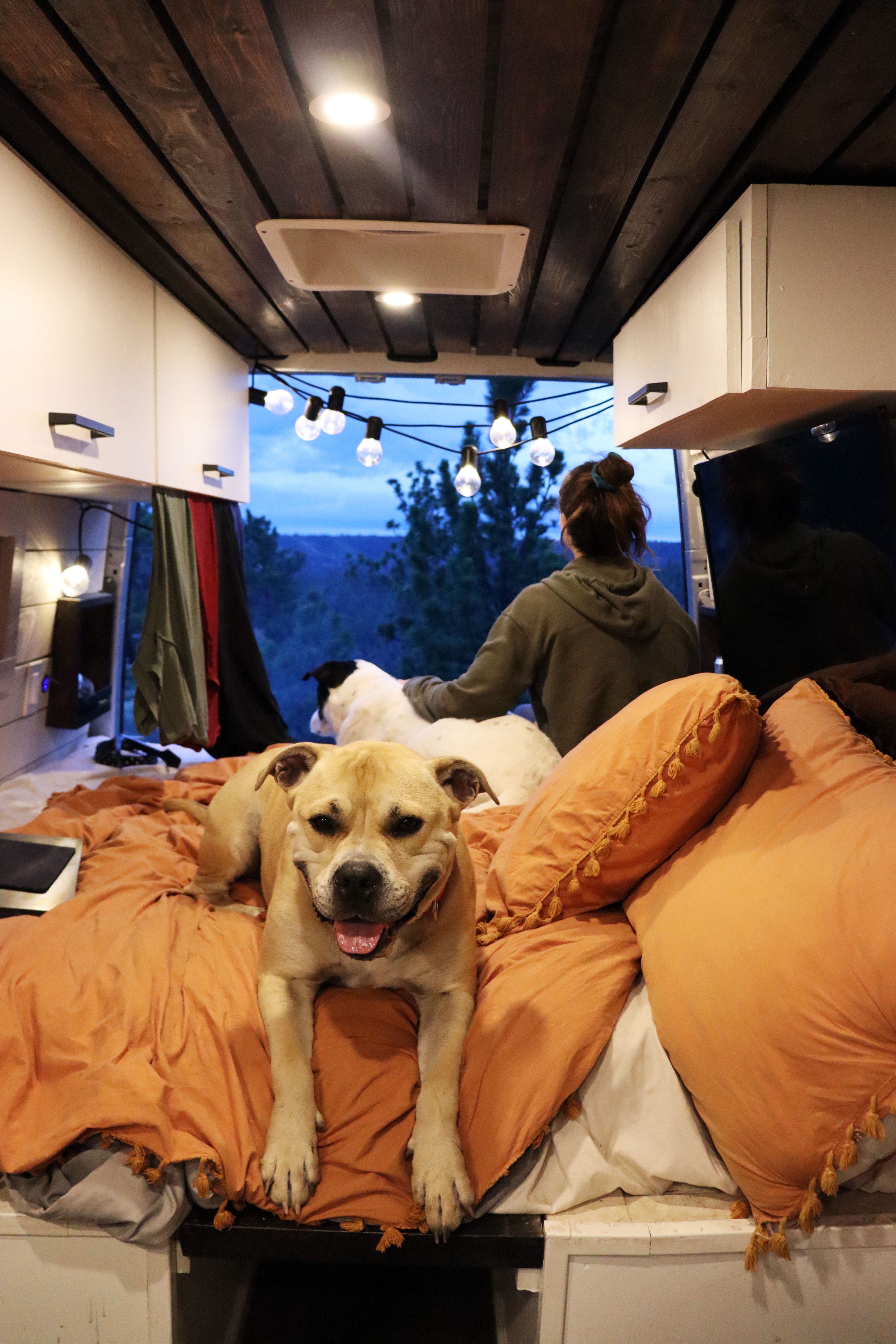 Dat Nguyen Photography