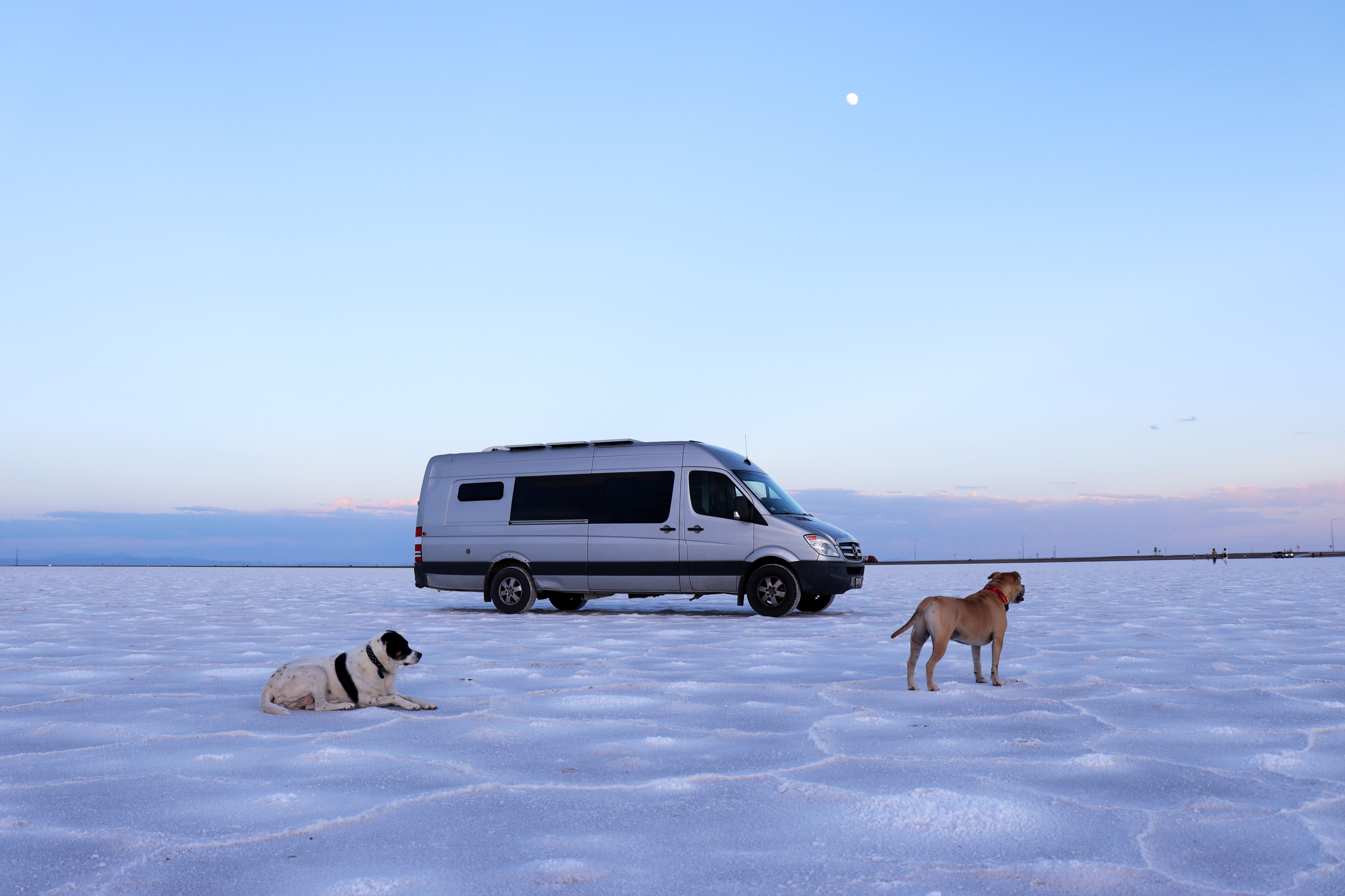 Dat Nguyen Photography