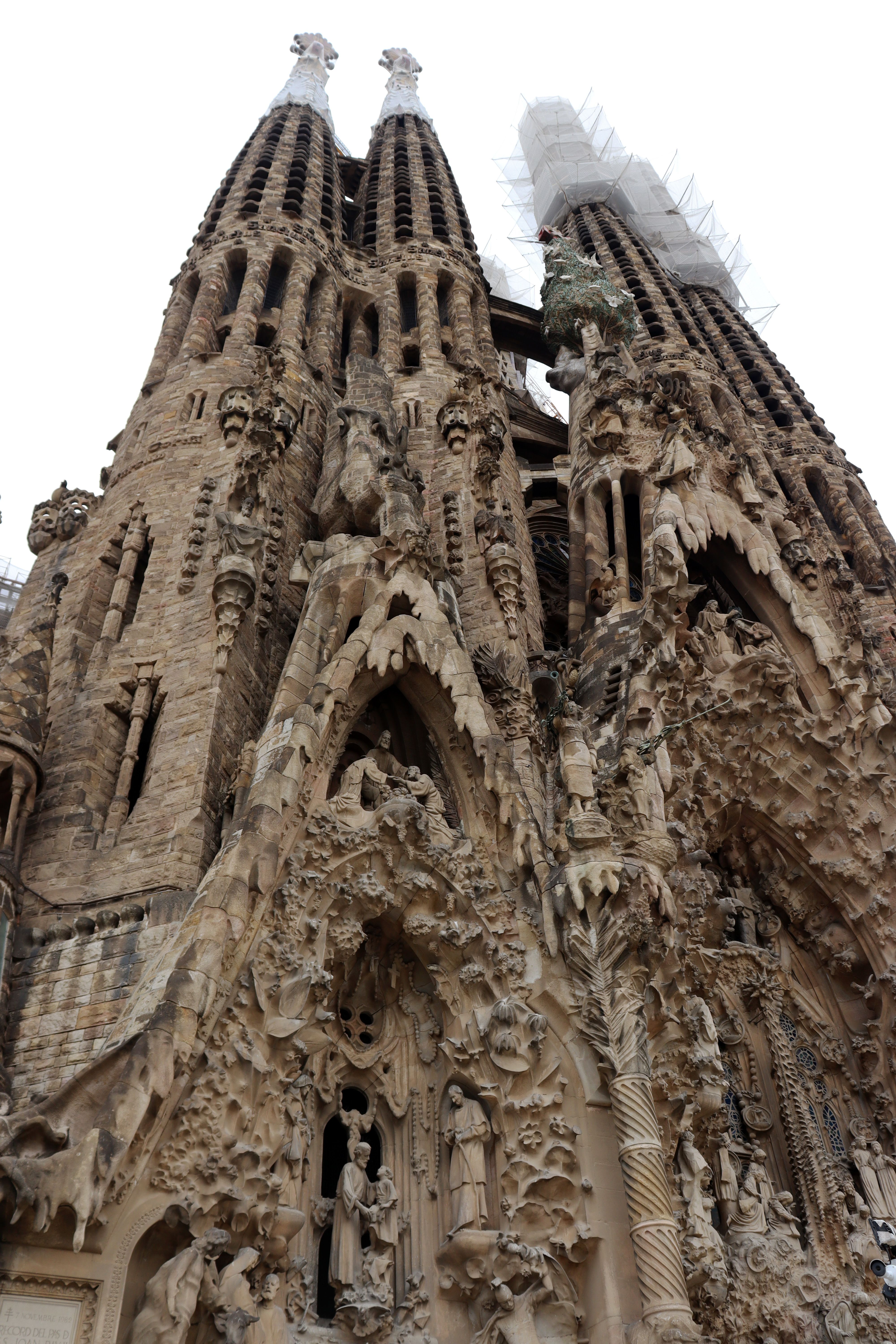 Dat Nguyen Photography