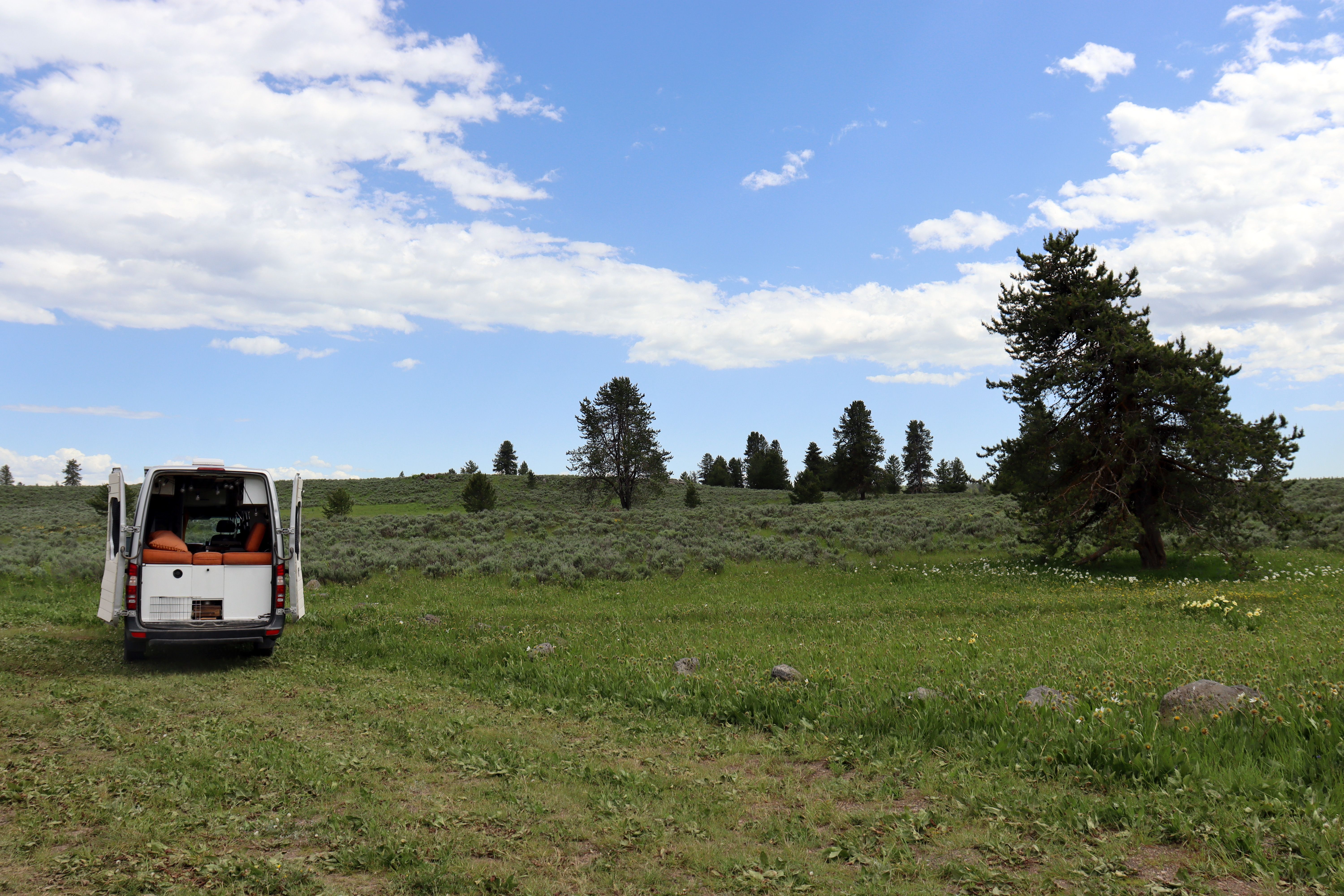 Dat Nguyen Photography