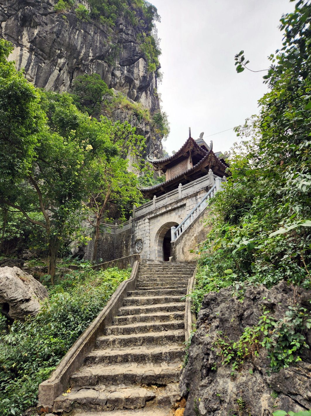 Dat Nguyen Photography