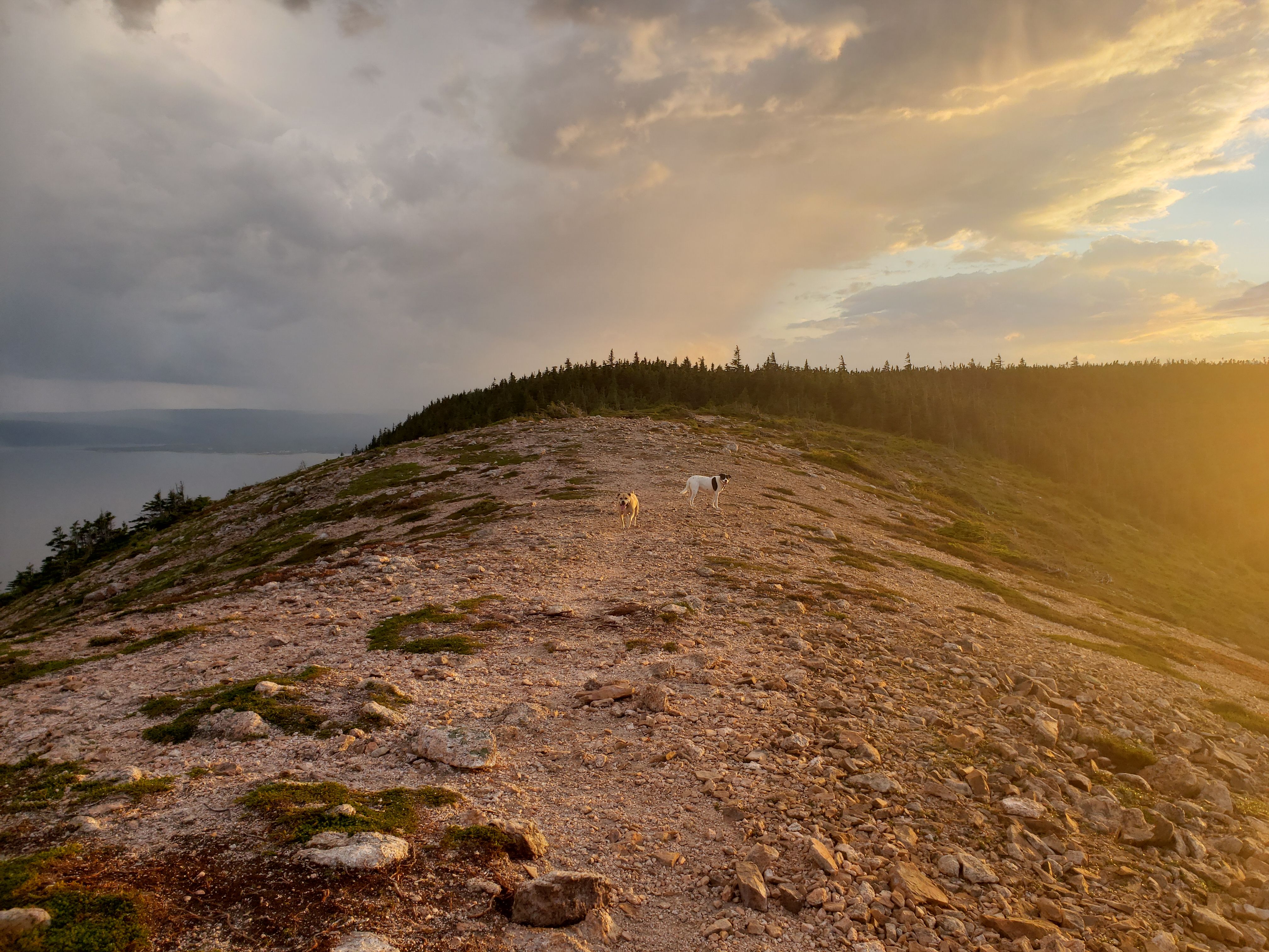 Dat Nguyen Photography