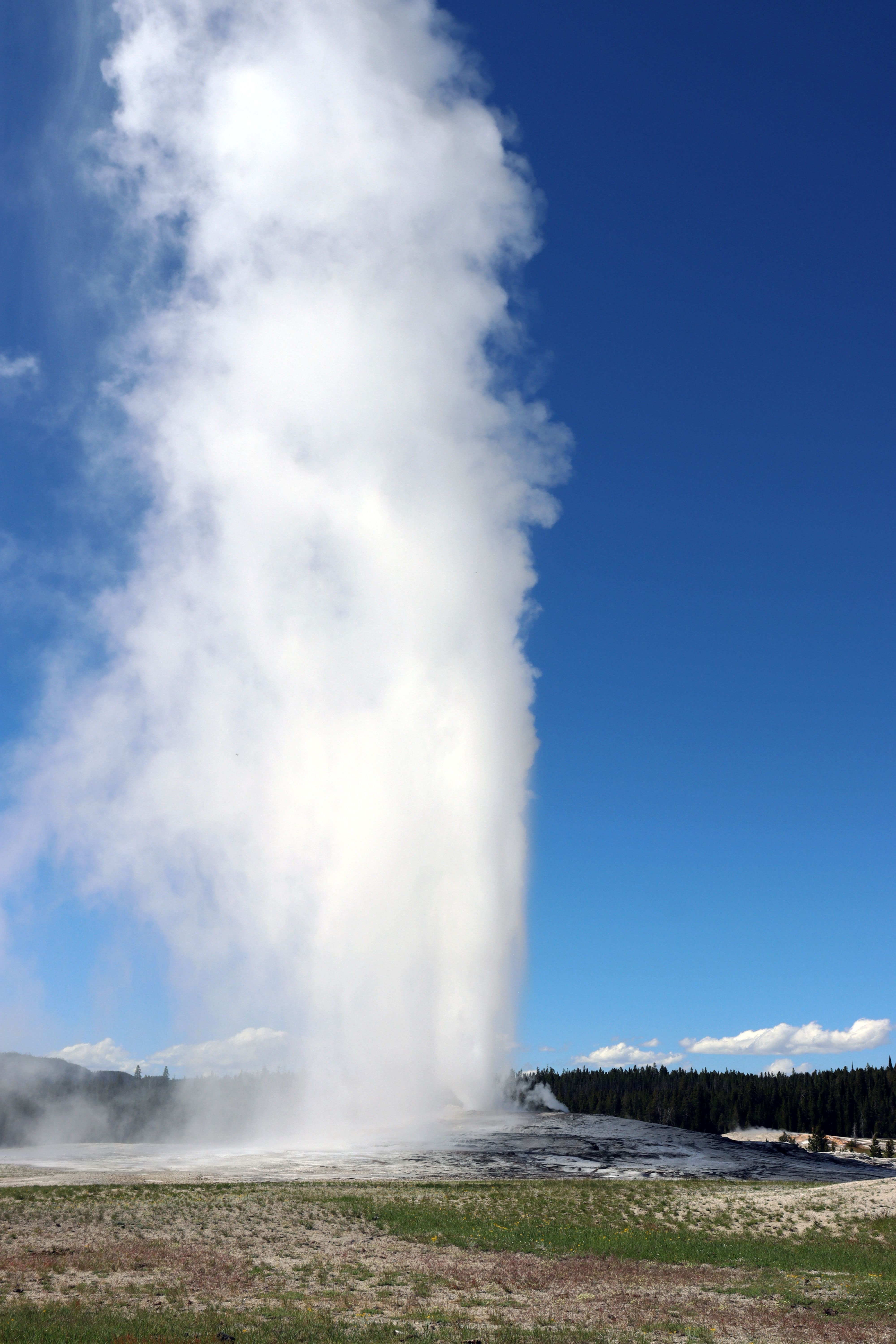 Dat Nguyen Photography