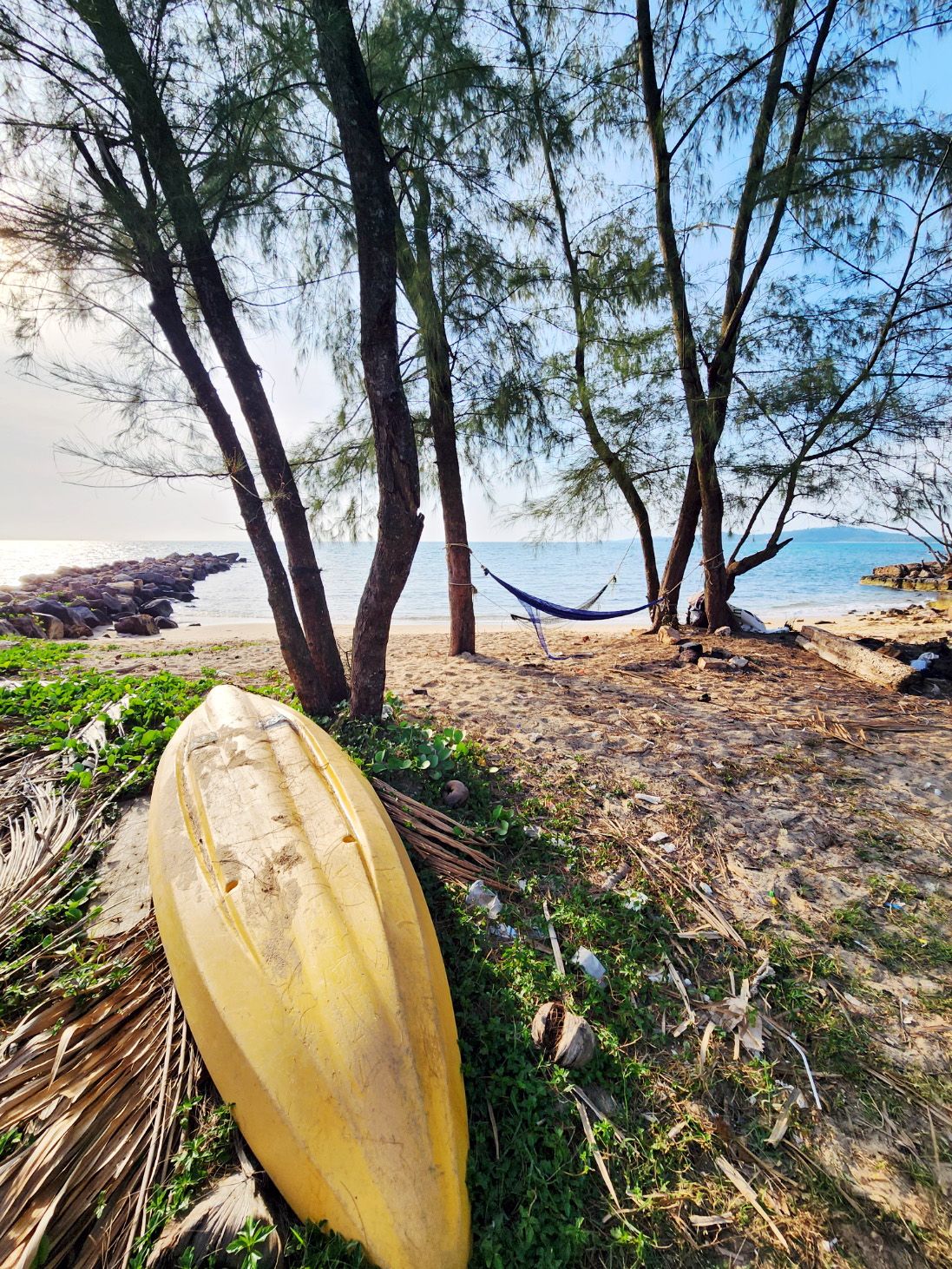 Dat Nguyen Photography