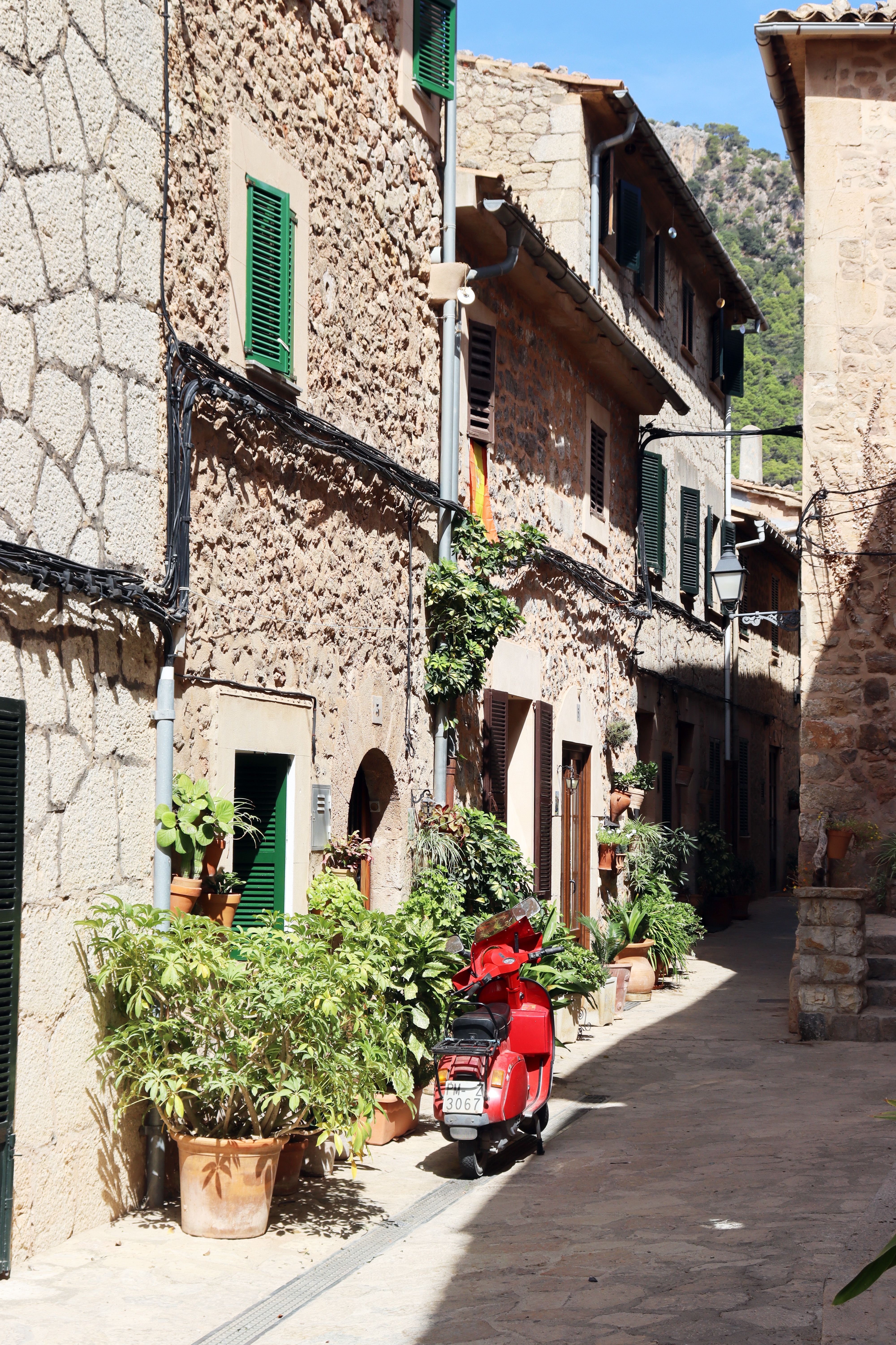 Dat Nguyen Photography