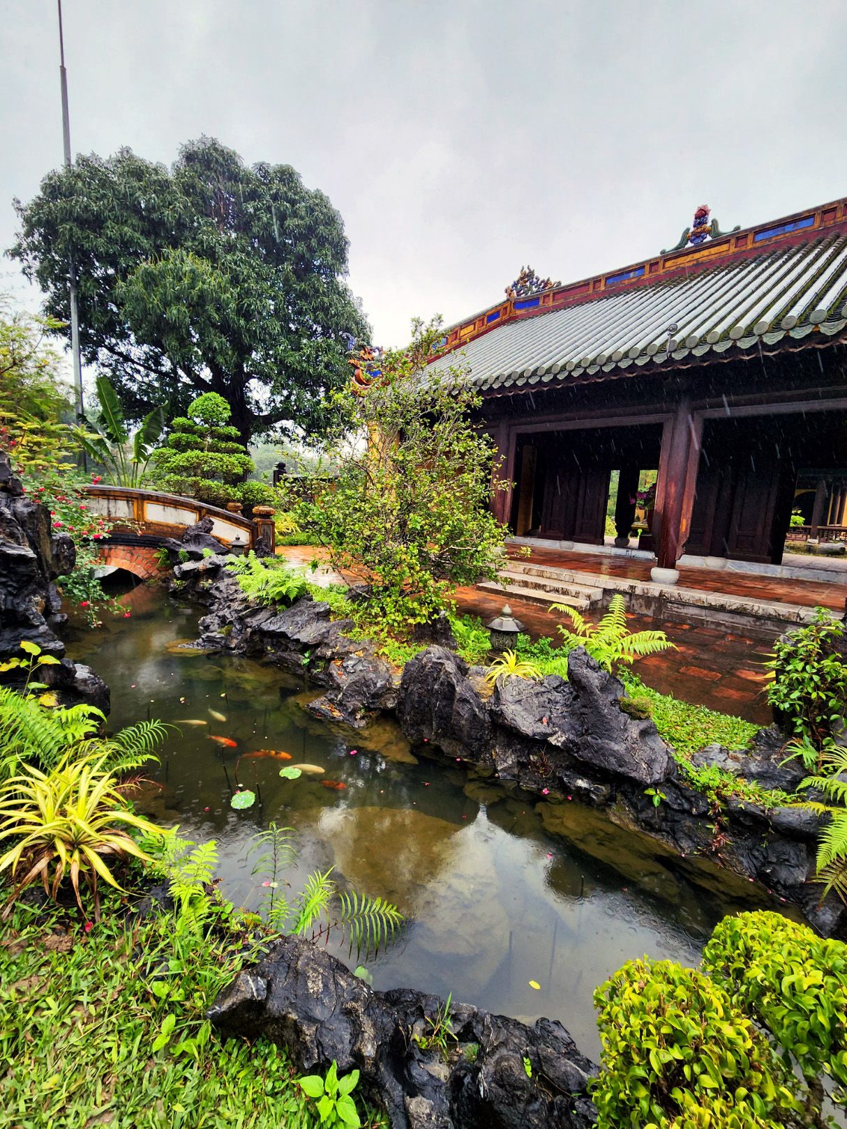 Dat Nguyen Photography