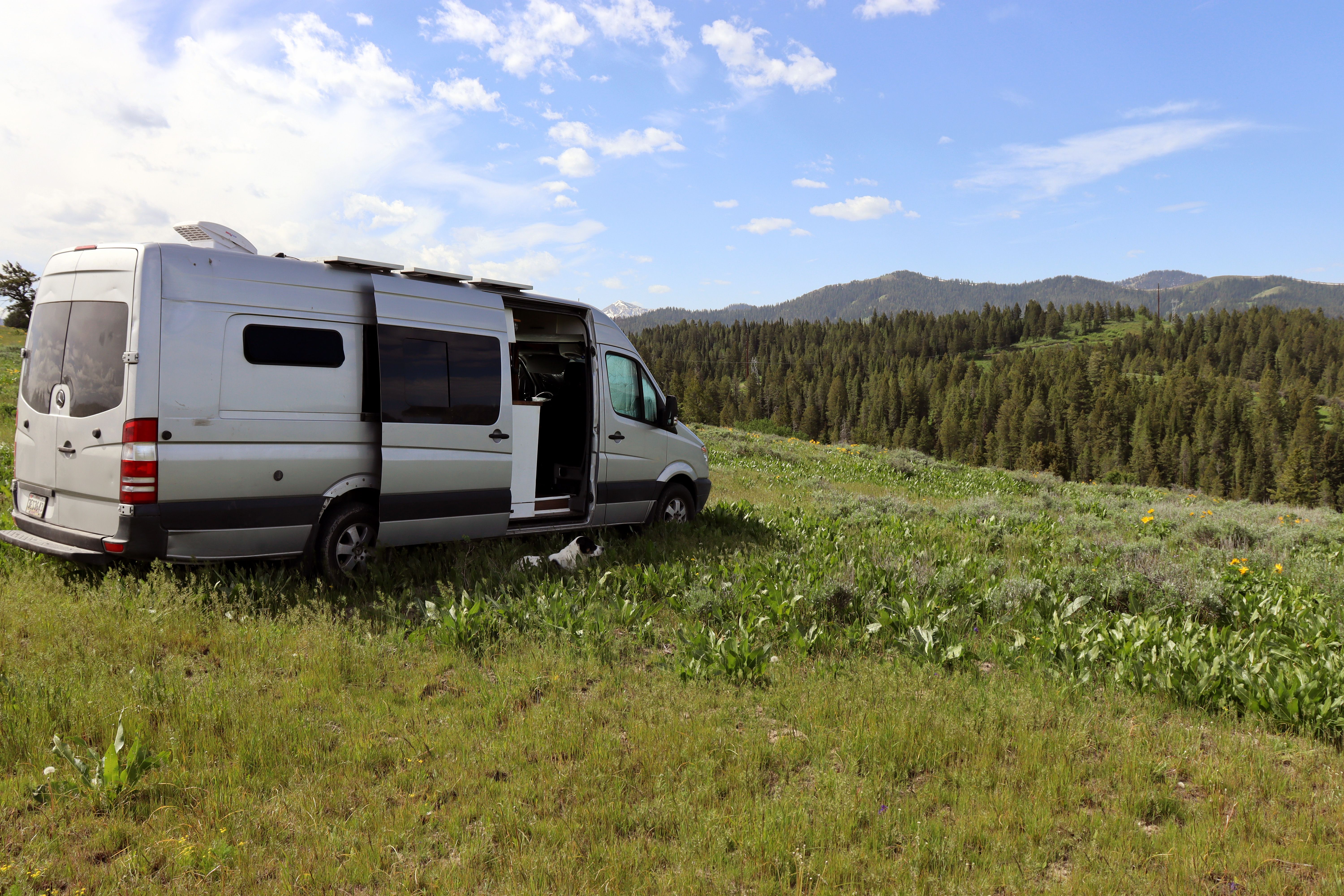 Dat Nguyen Photography