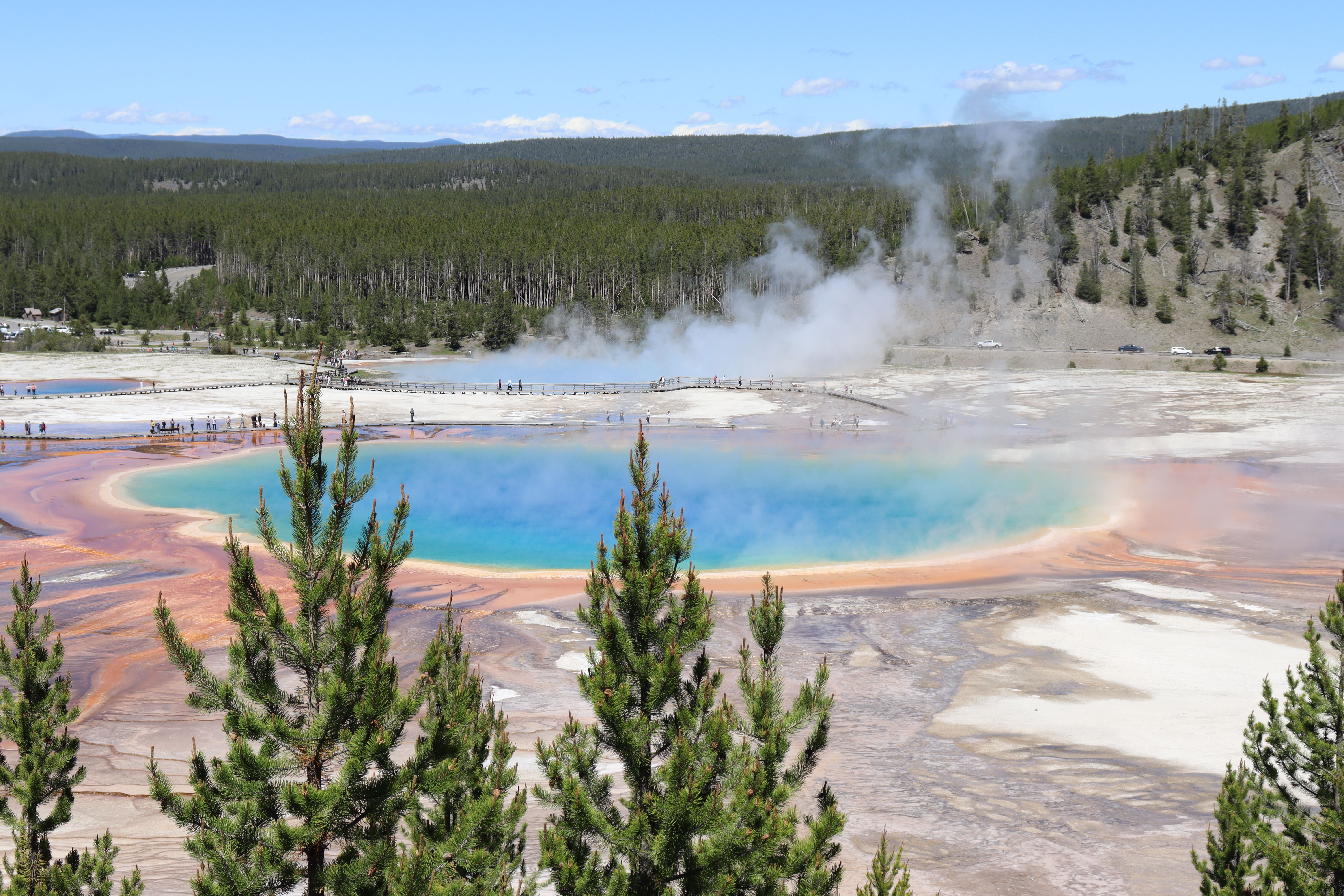 Dat Nguyen Photography