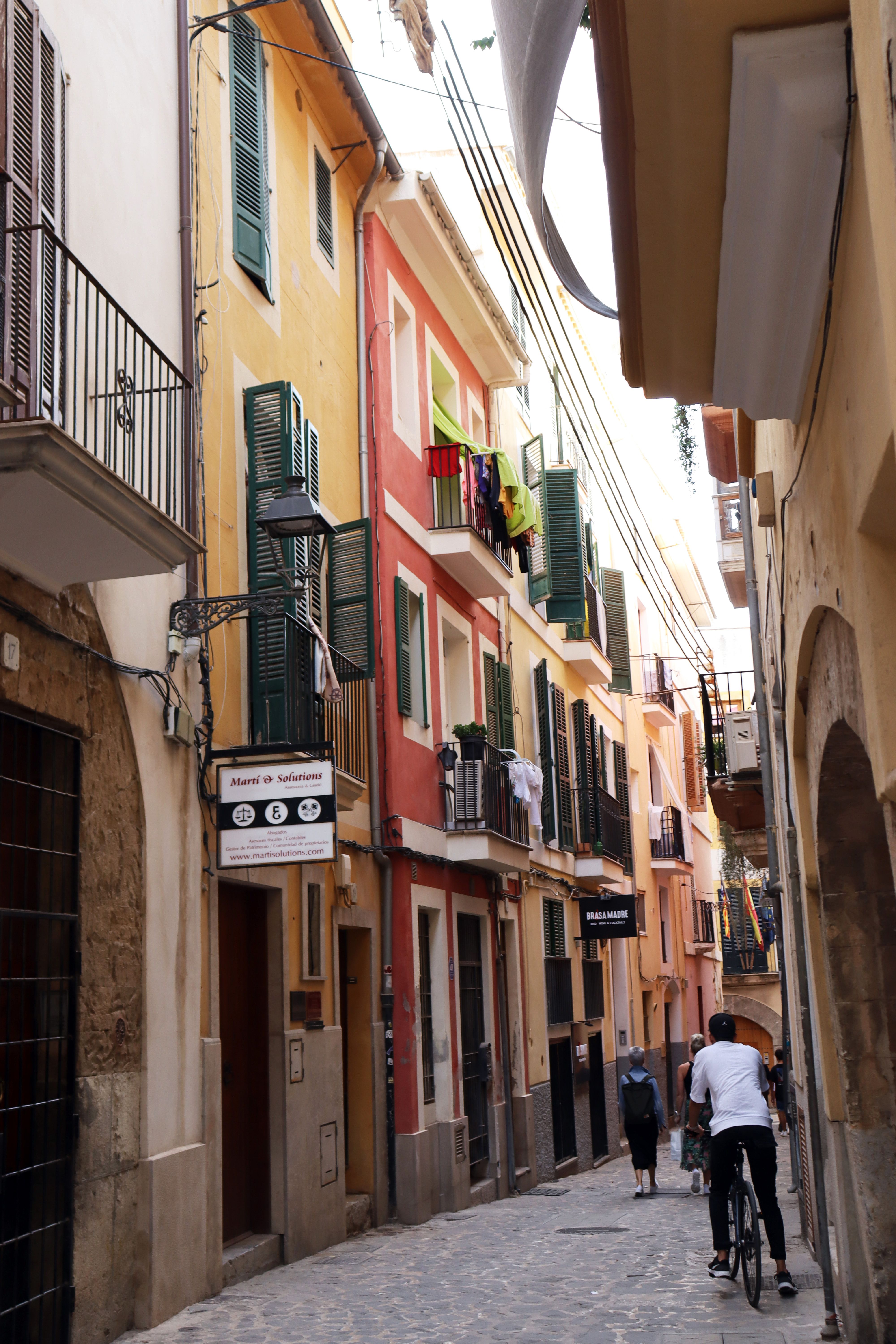 Dat Nguyen Photography