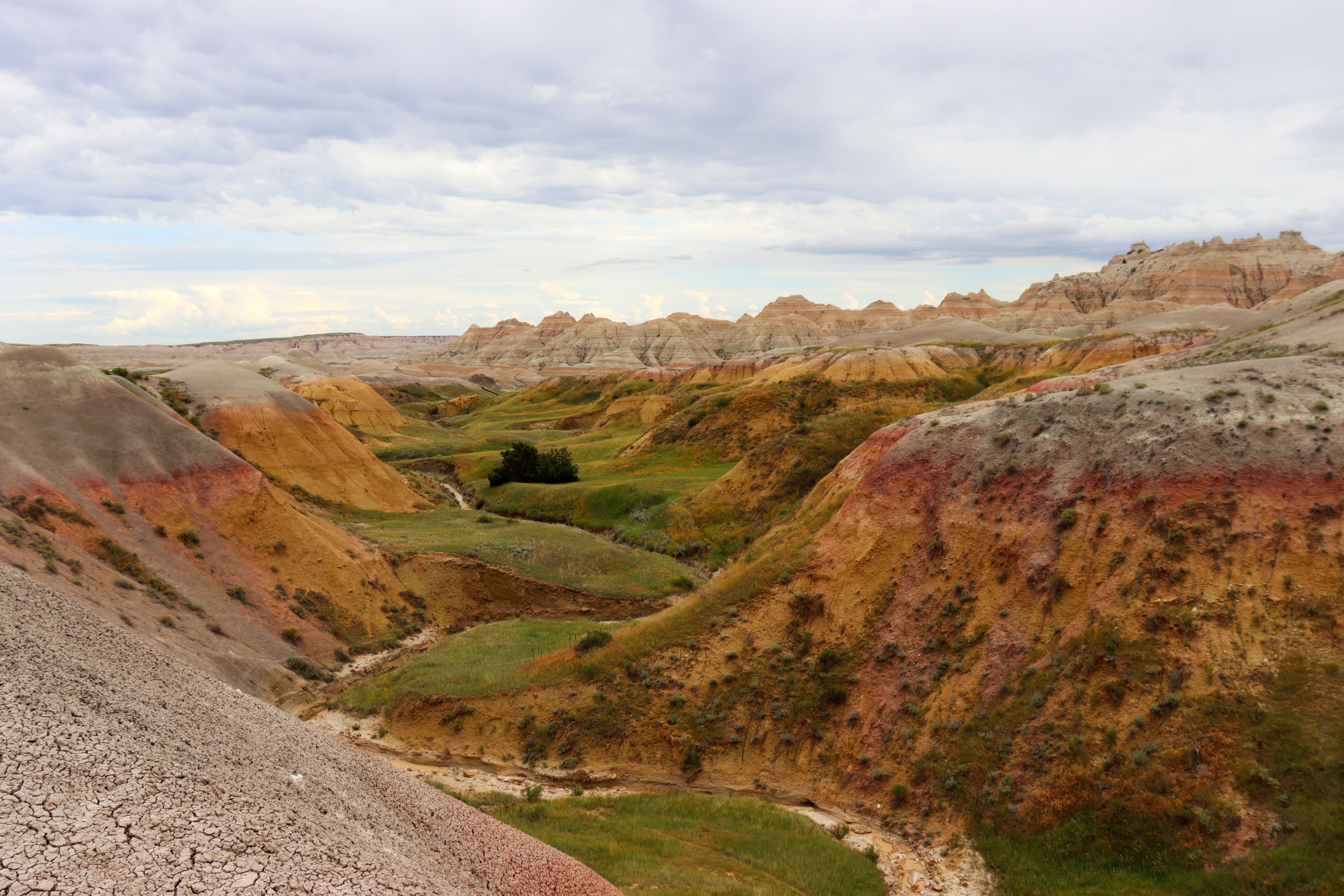 Dat Nguyen Photography