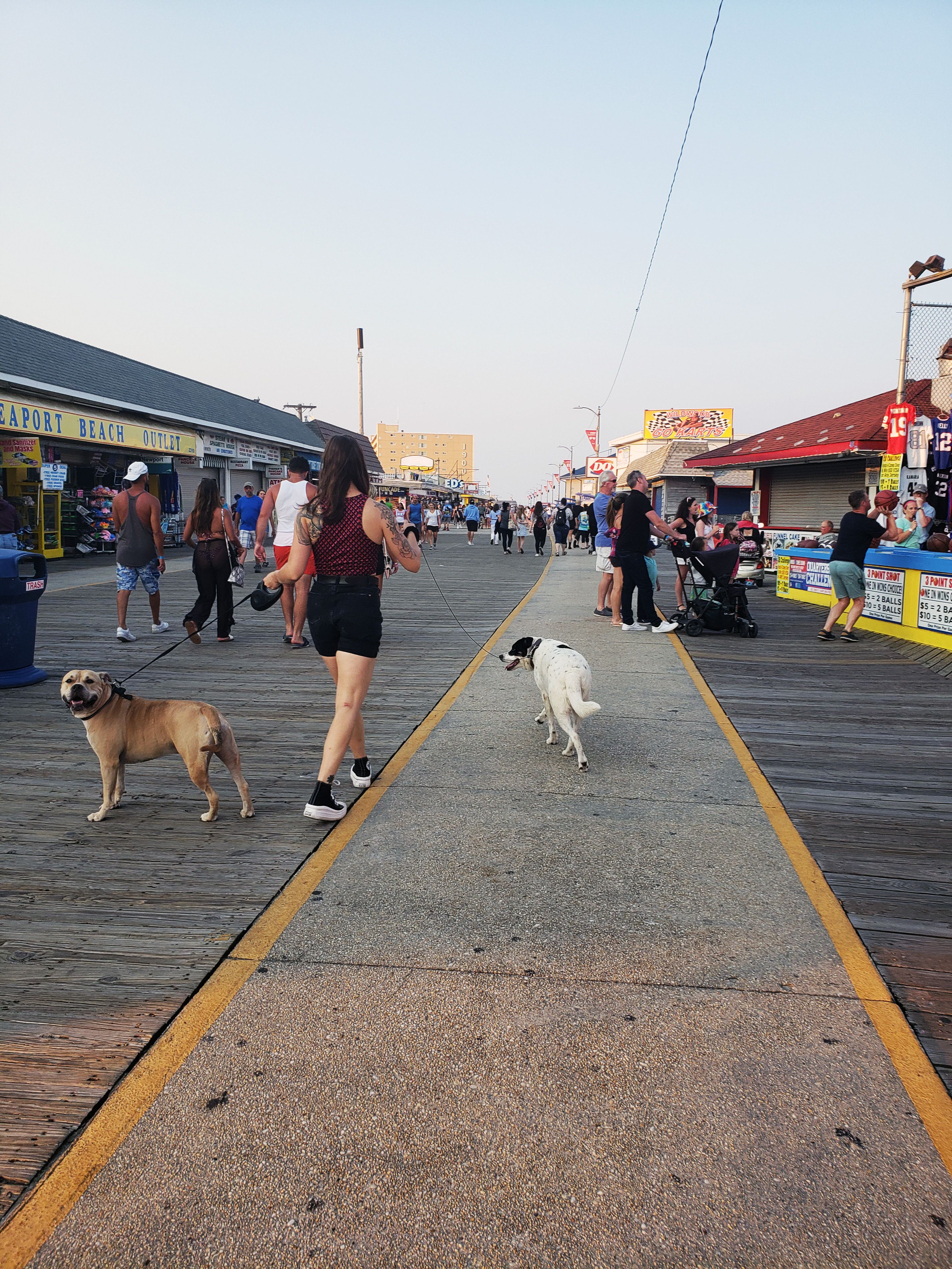 Dat Nguyen Photography