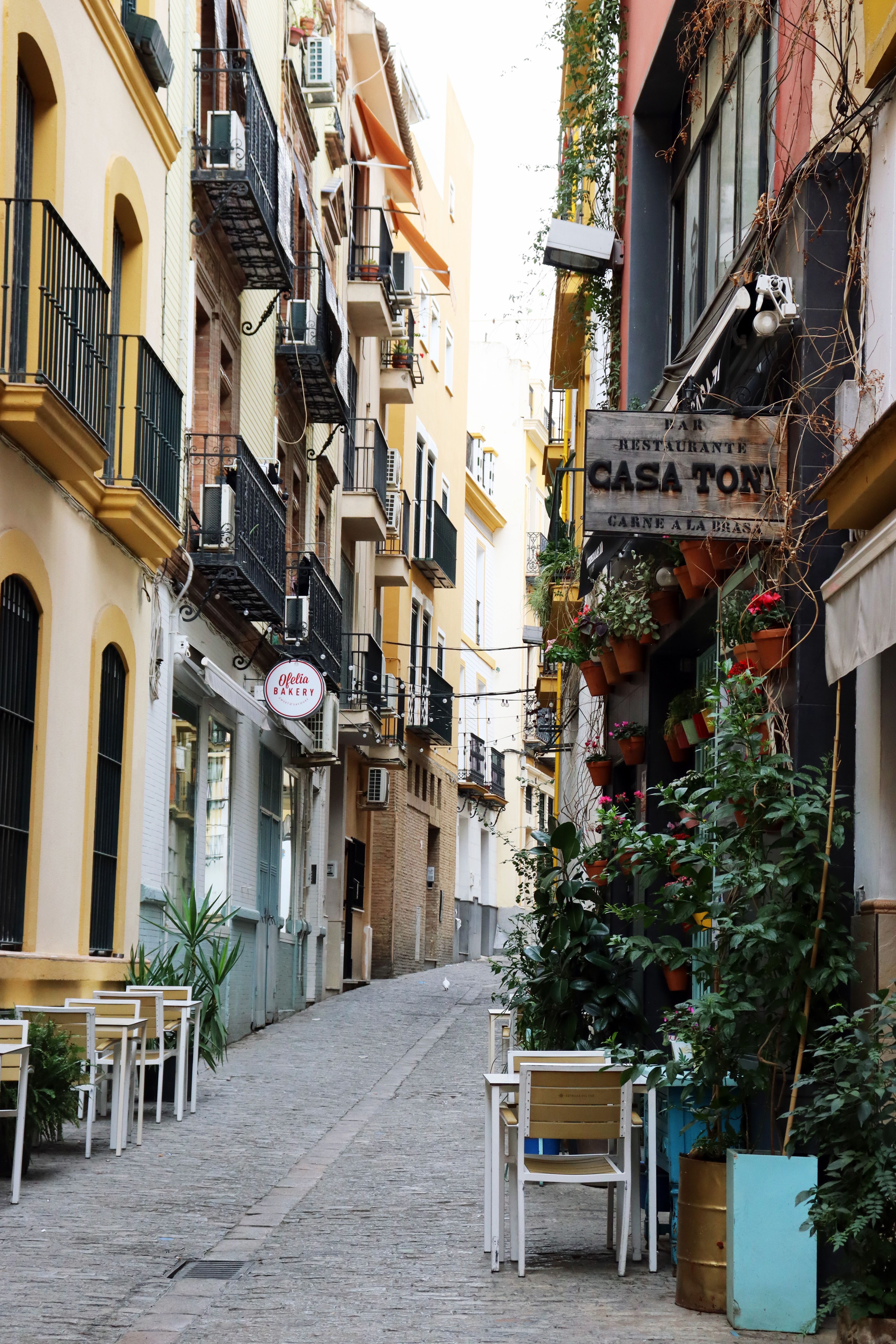 Dat Nguyen Photography