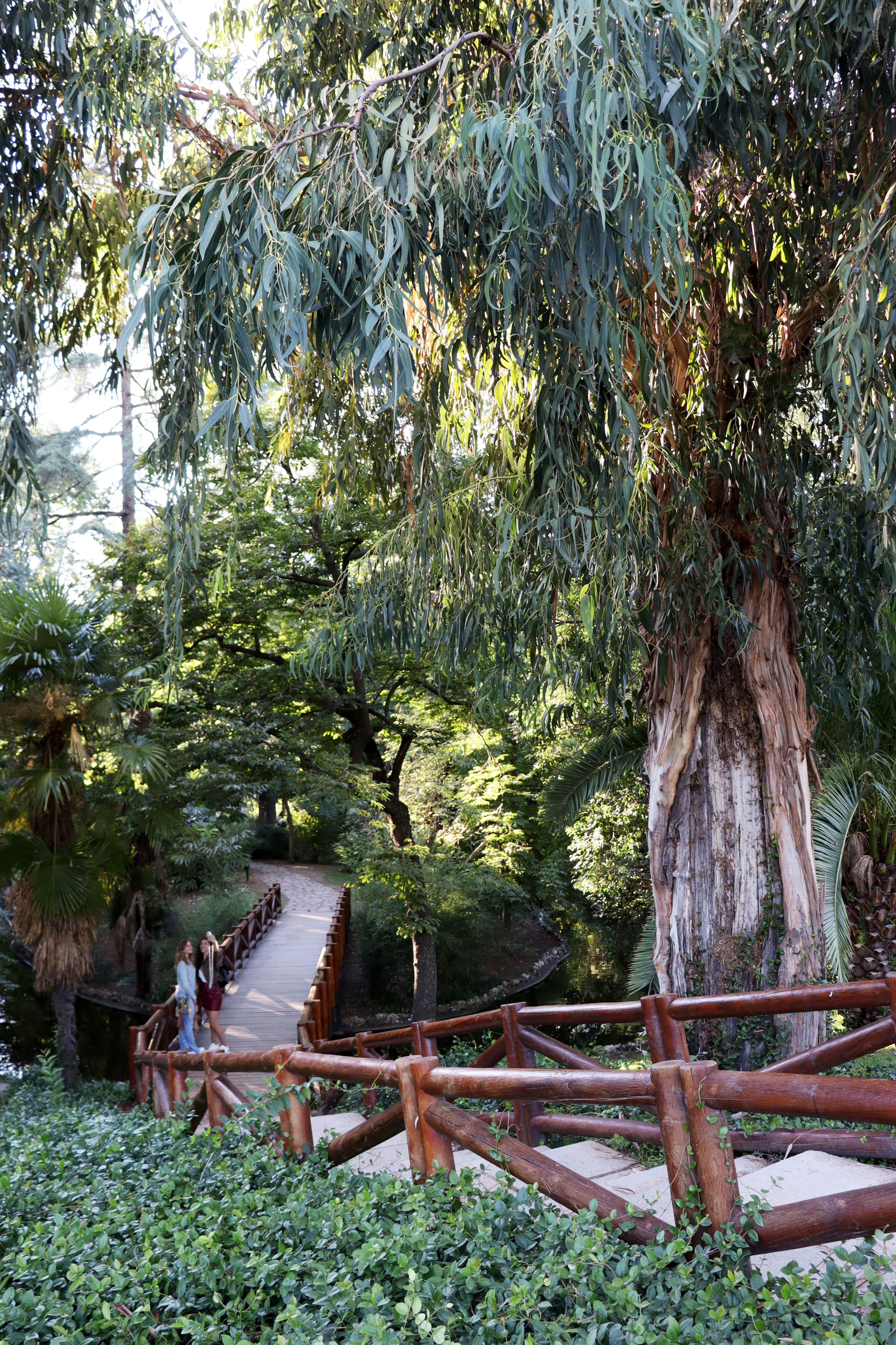 Dat Nguyen Photography