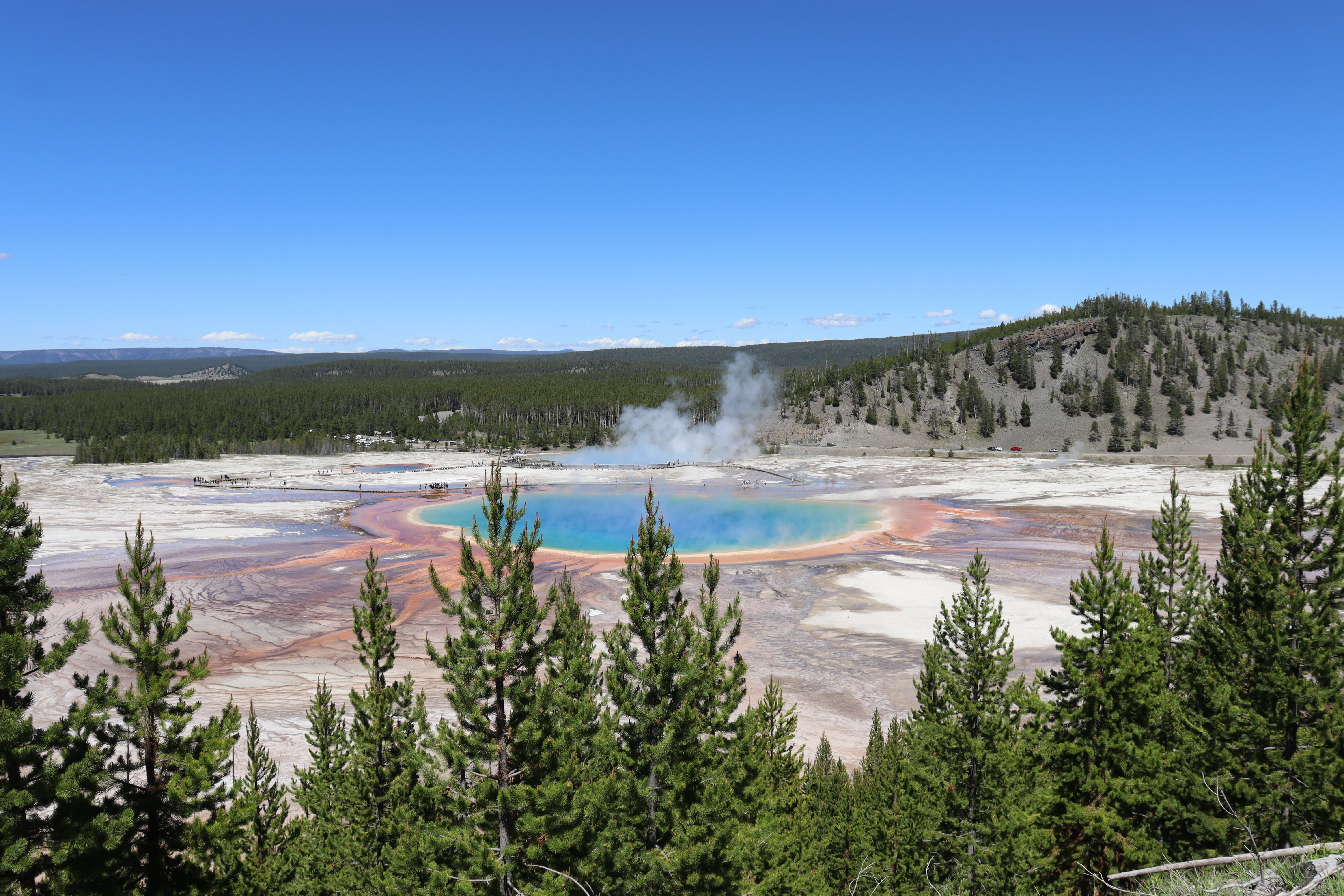 Dat Nguyen Photography