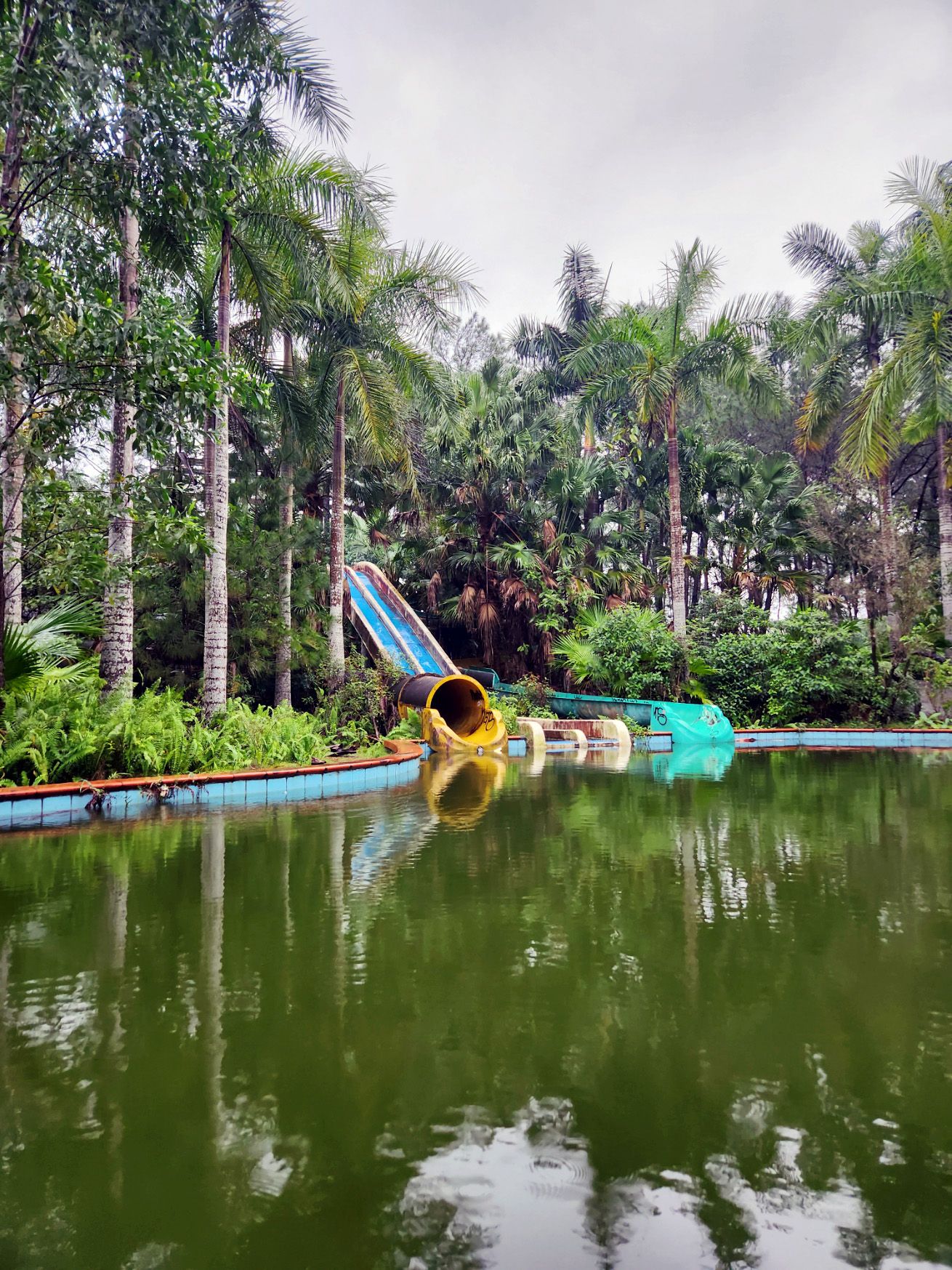 Dat Nguyen Photography