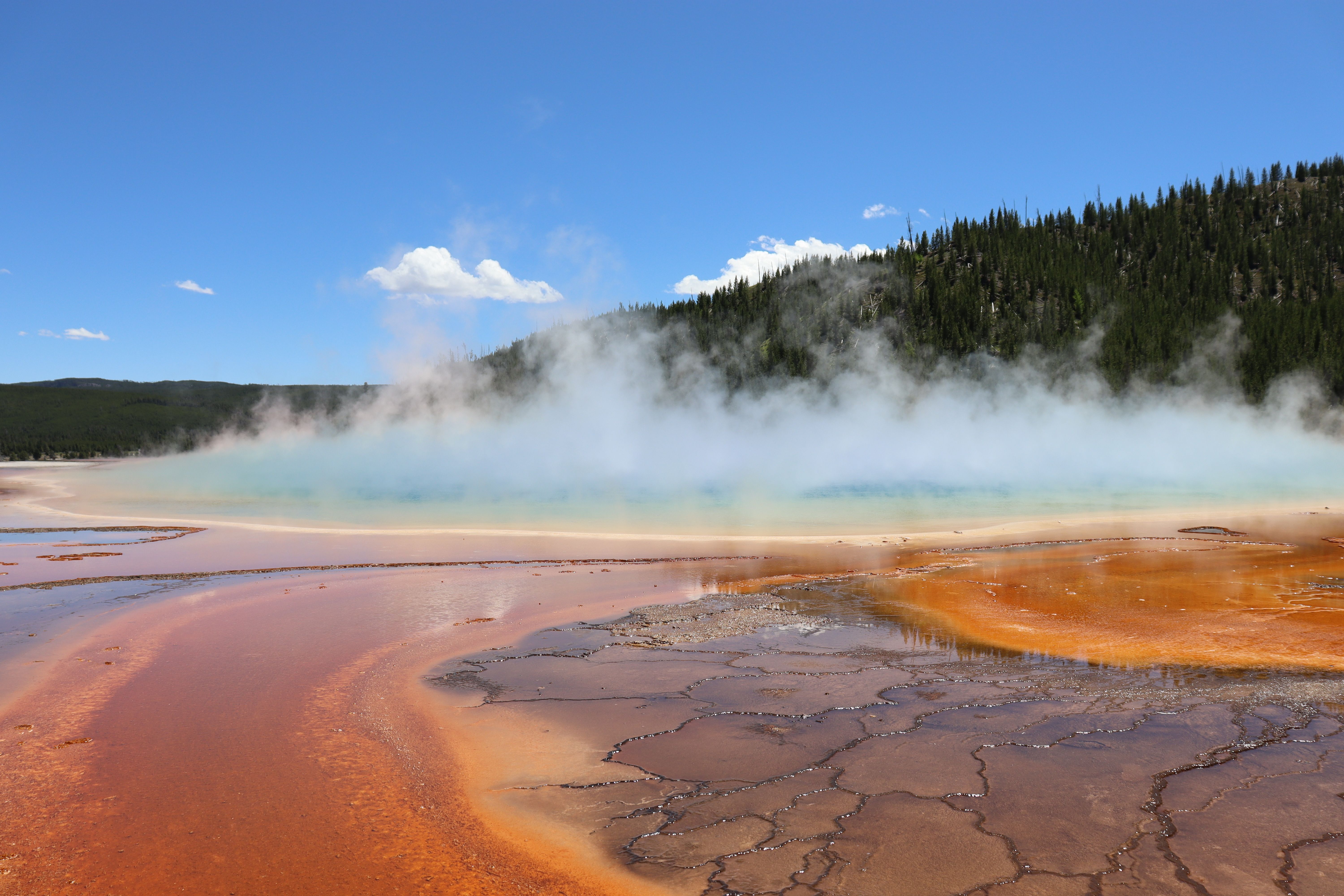 Dat Nguyen Photography