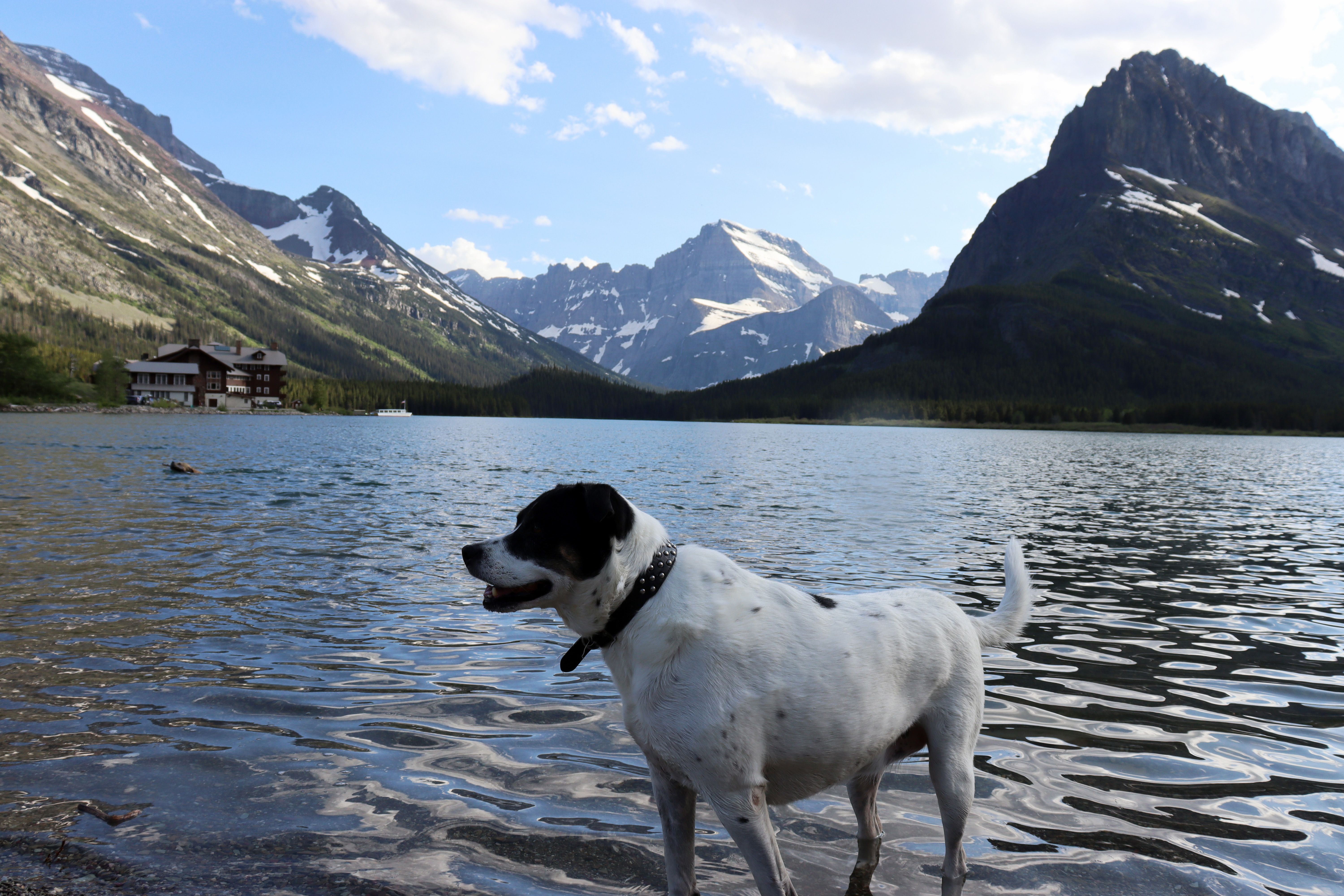 Dat Nguyen Photography