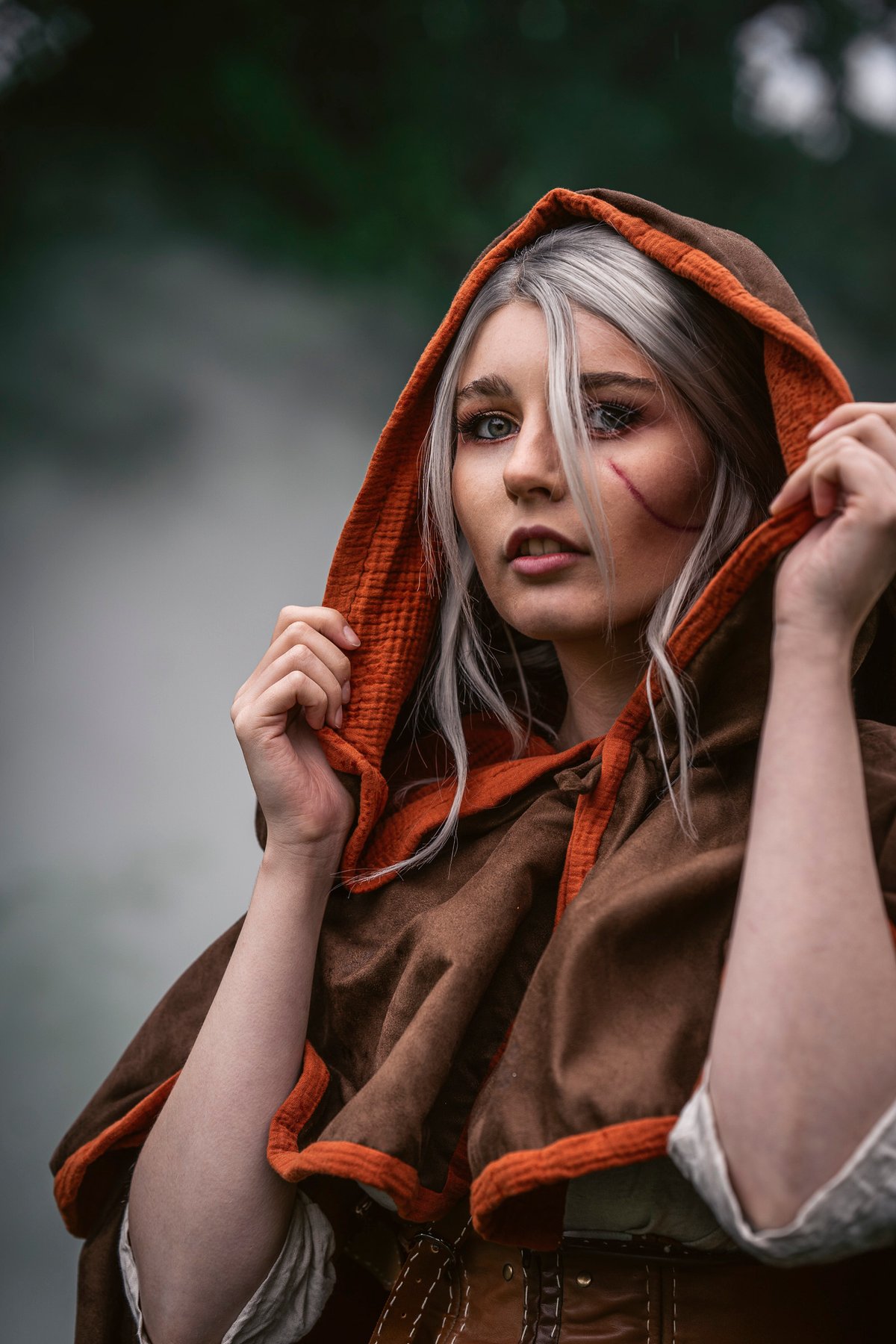 Elfia Witcher