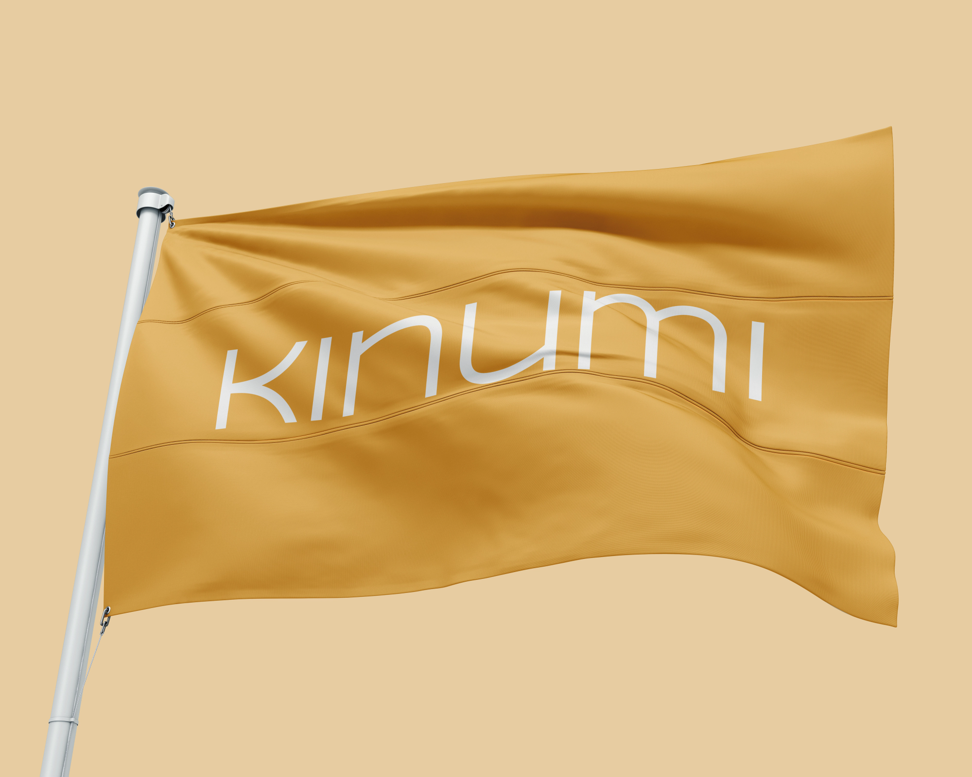 kinumi aging senior SaaS culture capital