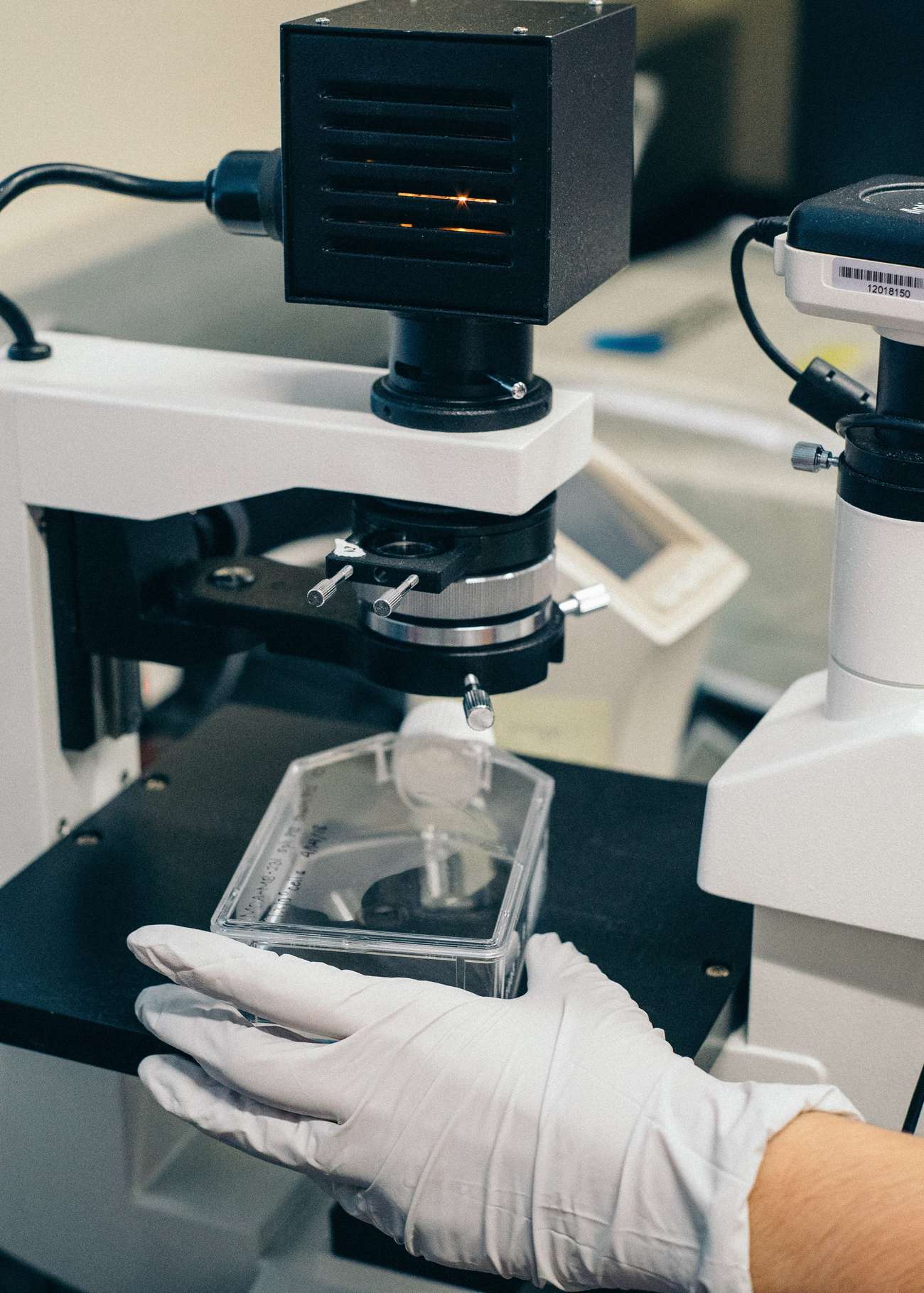 Person with gloves on microscope